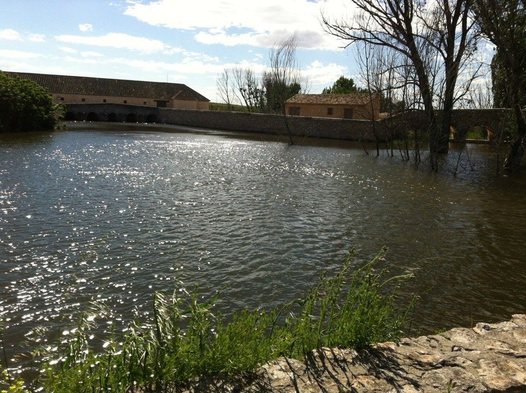 Tablas de Daimiel