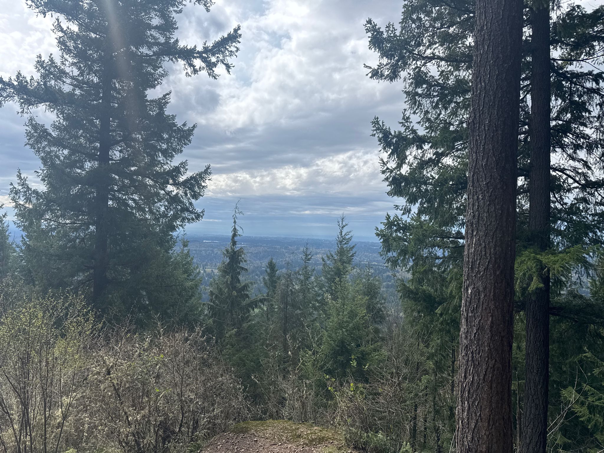 Tall forest trees frame a hazy distant landscape under a cloudy sky. - Margaret's Way and West Peak Loop