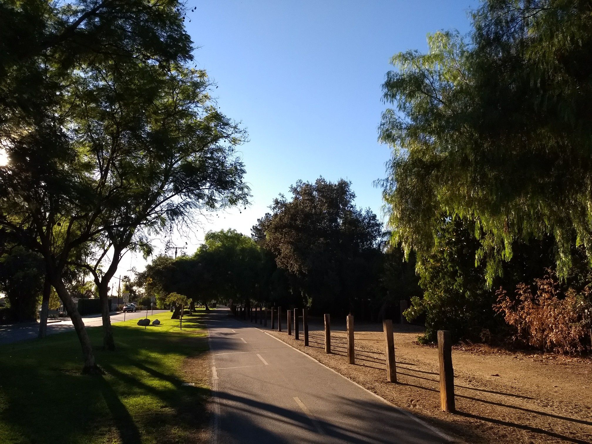 A shaded paved path lined with trees and wooden posts on a sunny day. - Duarte Recreational Trail