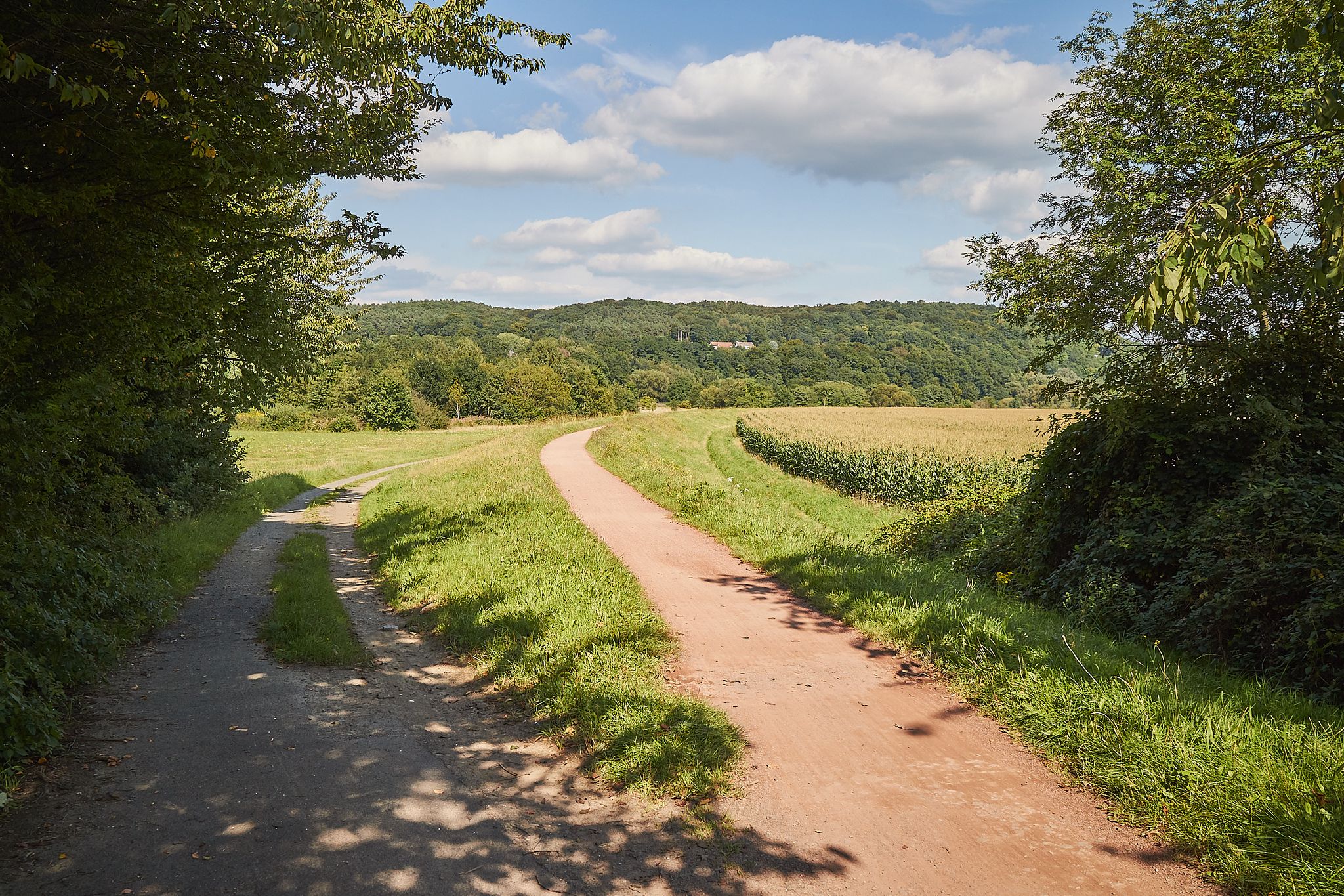 Radweg Siegdeich zwischen Hennef und Buisdorf Blickrichtung flussaufwärts.