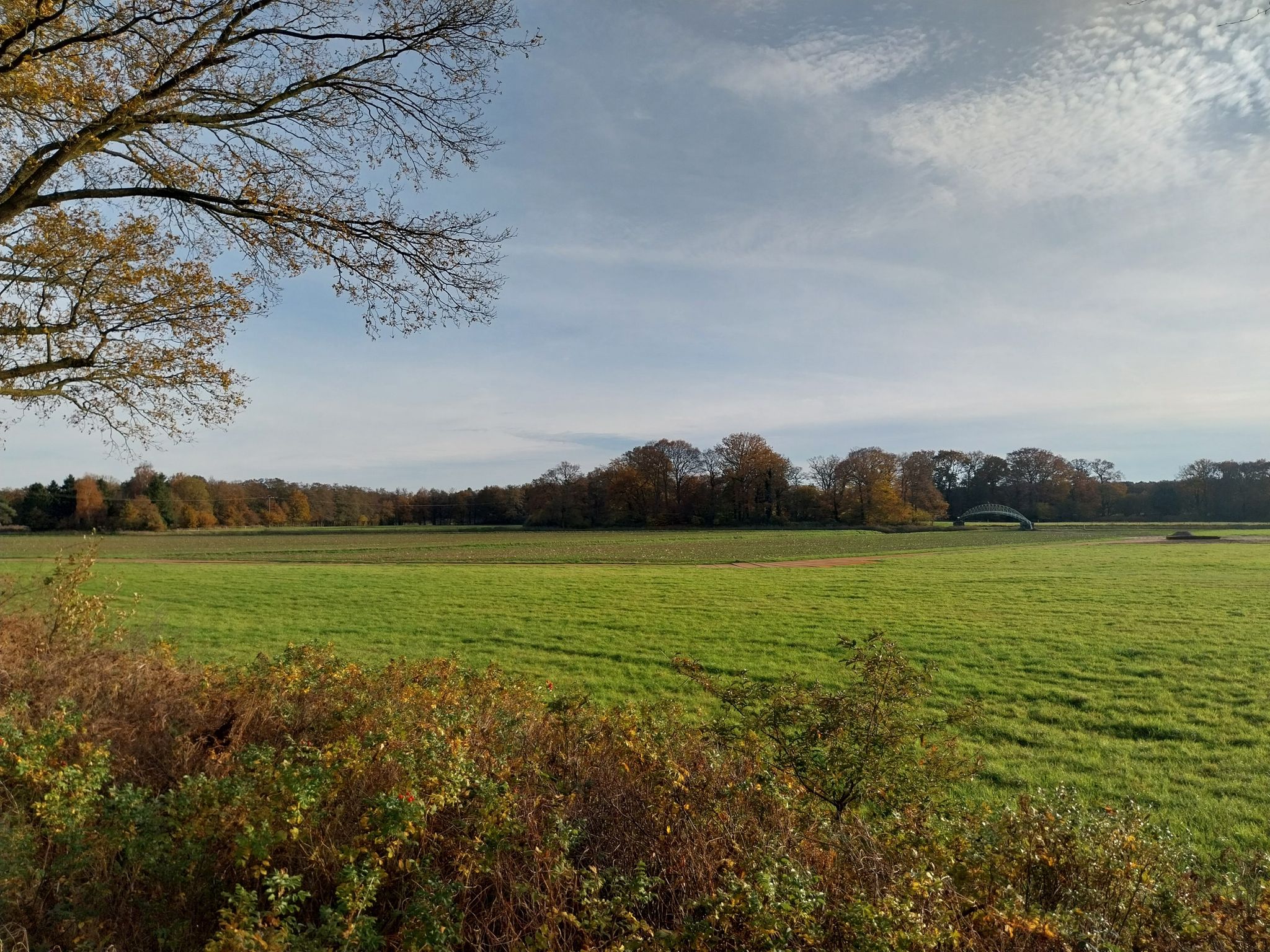 Blick in das Vechtetal