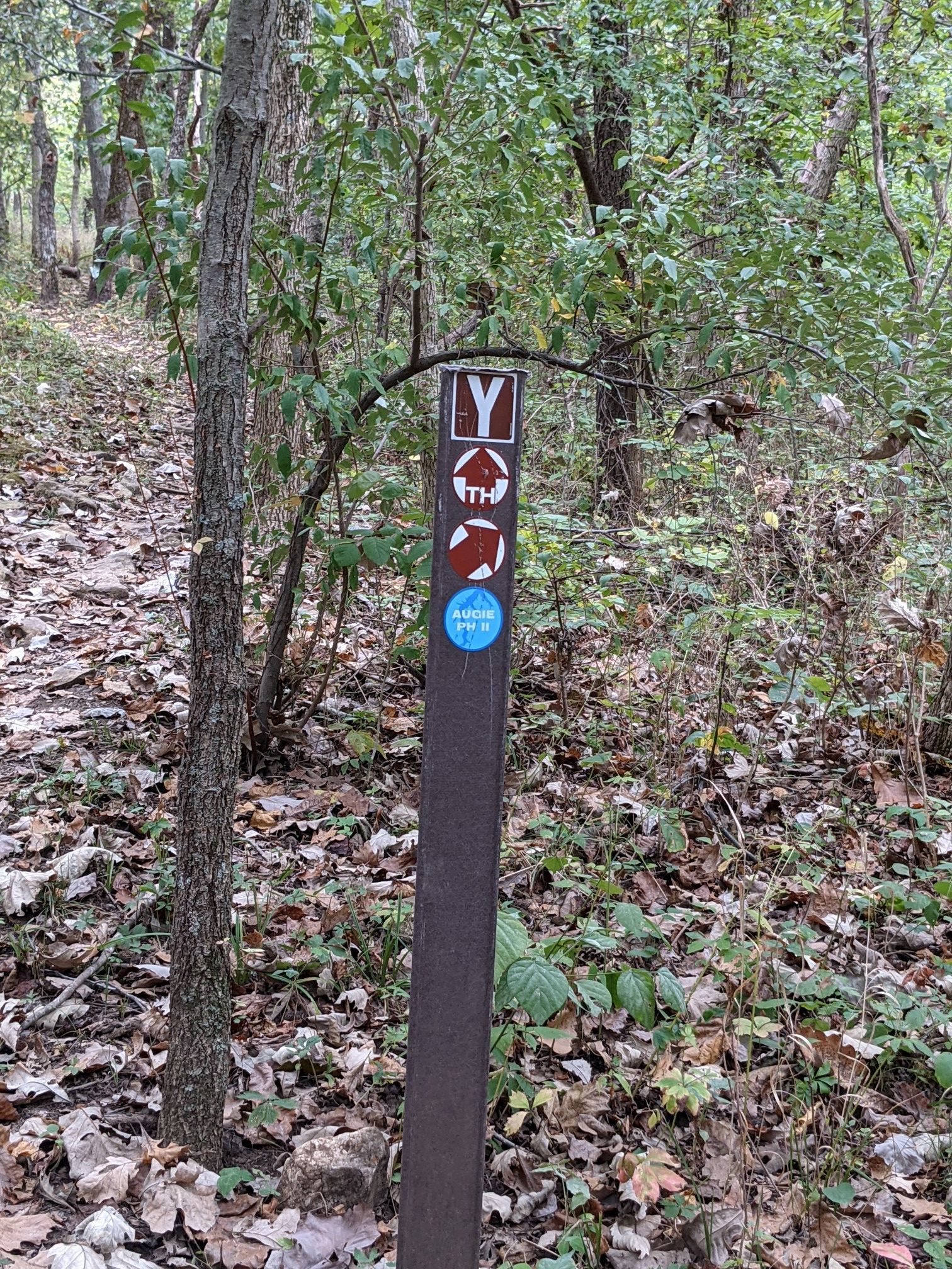 A brown trail marker post stands in a lush, green forest. - Augie Trail loop