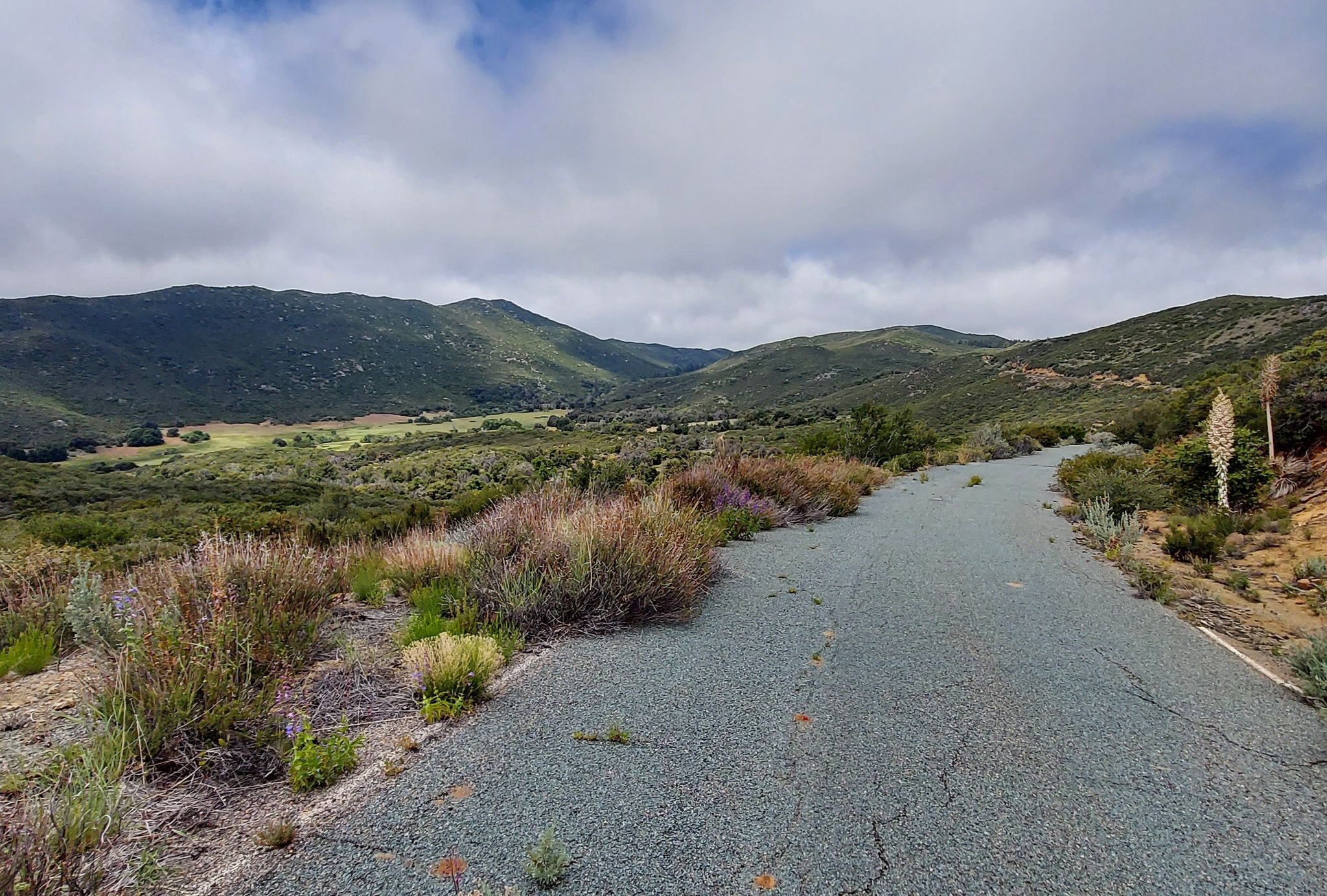 Paved road winding through green hills under a cloudy sky. - Laguna Summit – Water of the Woods loop from Pine Valley