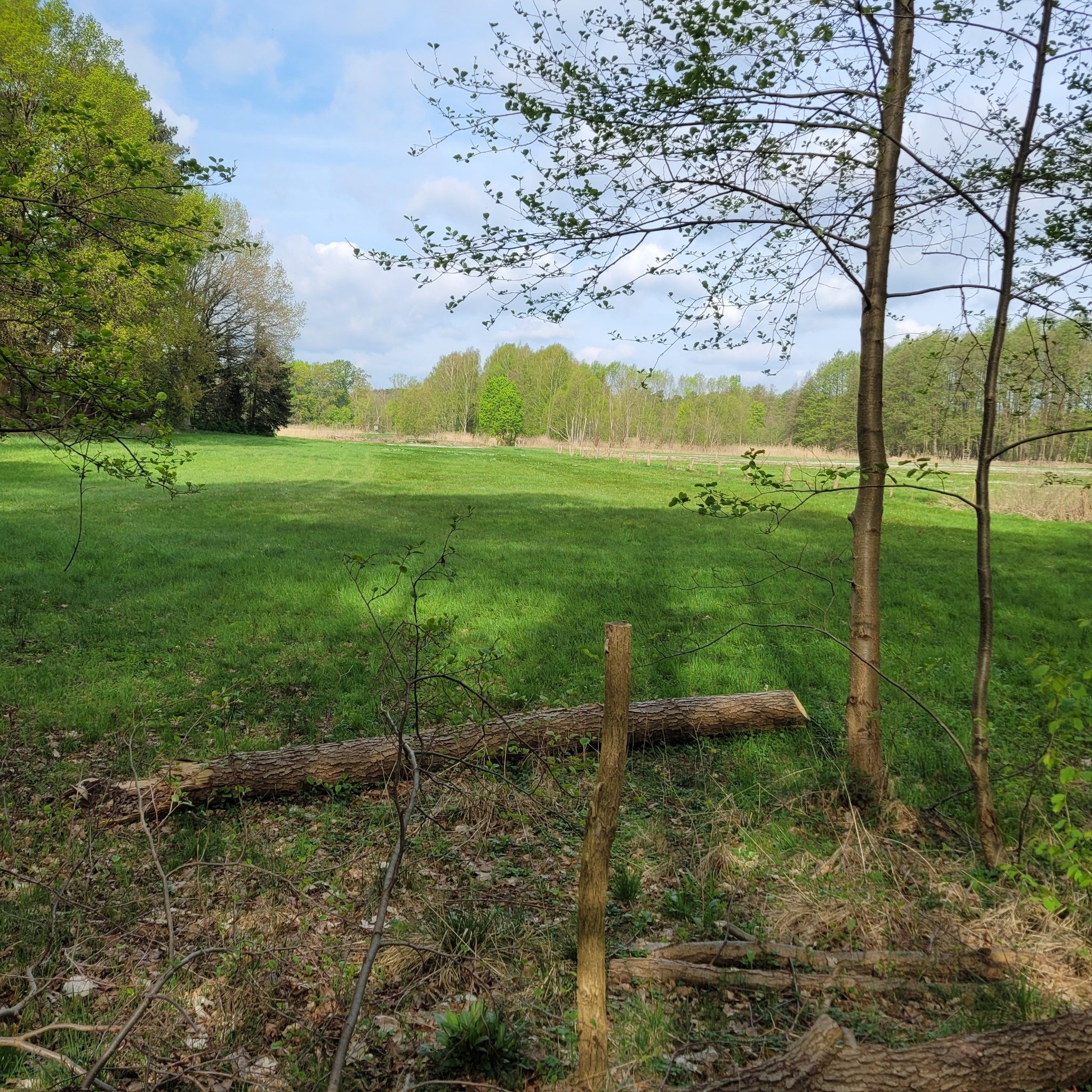 wiesen am Welands Berg