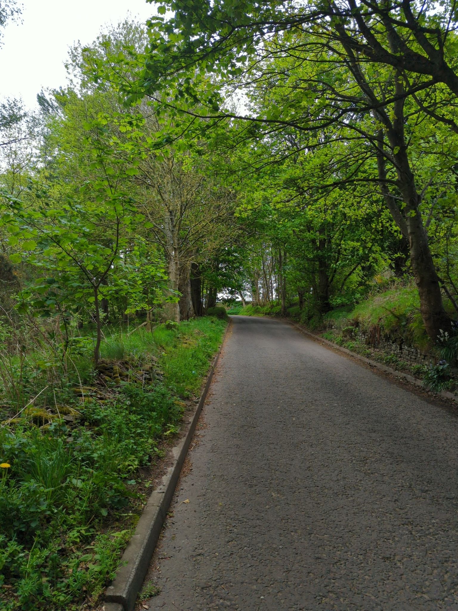 Steep climb out of Forfar