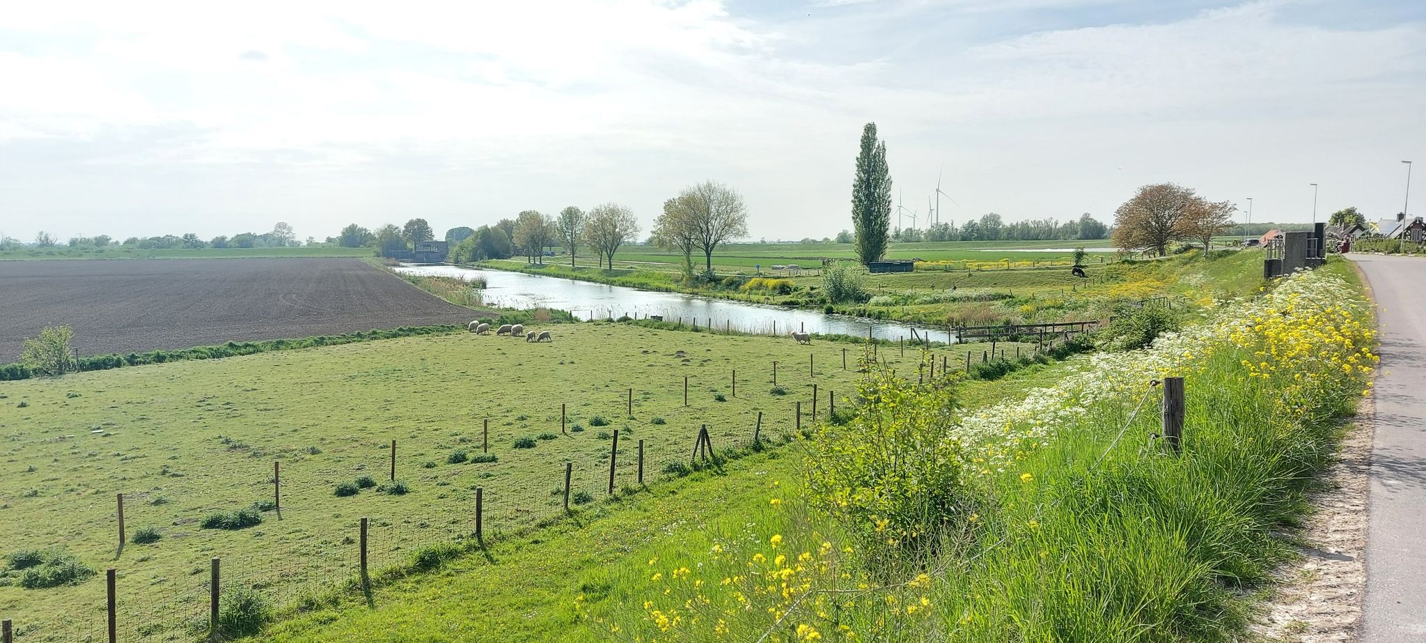 dijk richting Heerjansdam