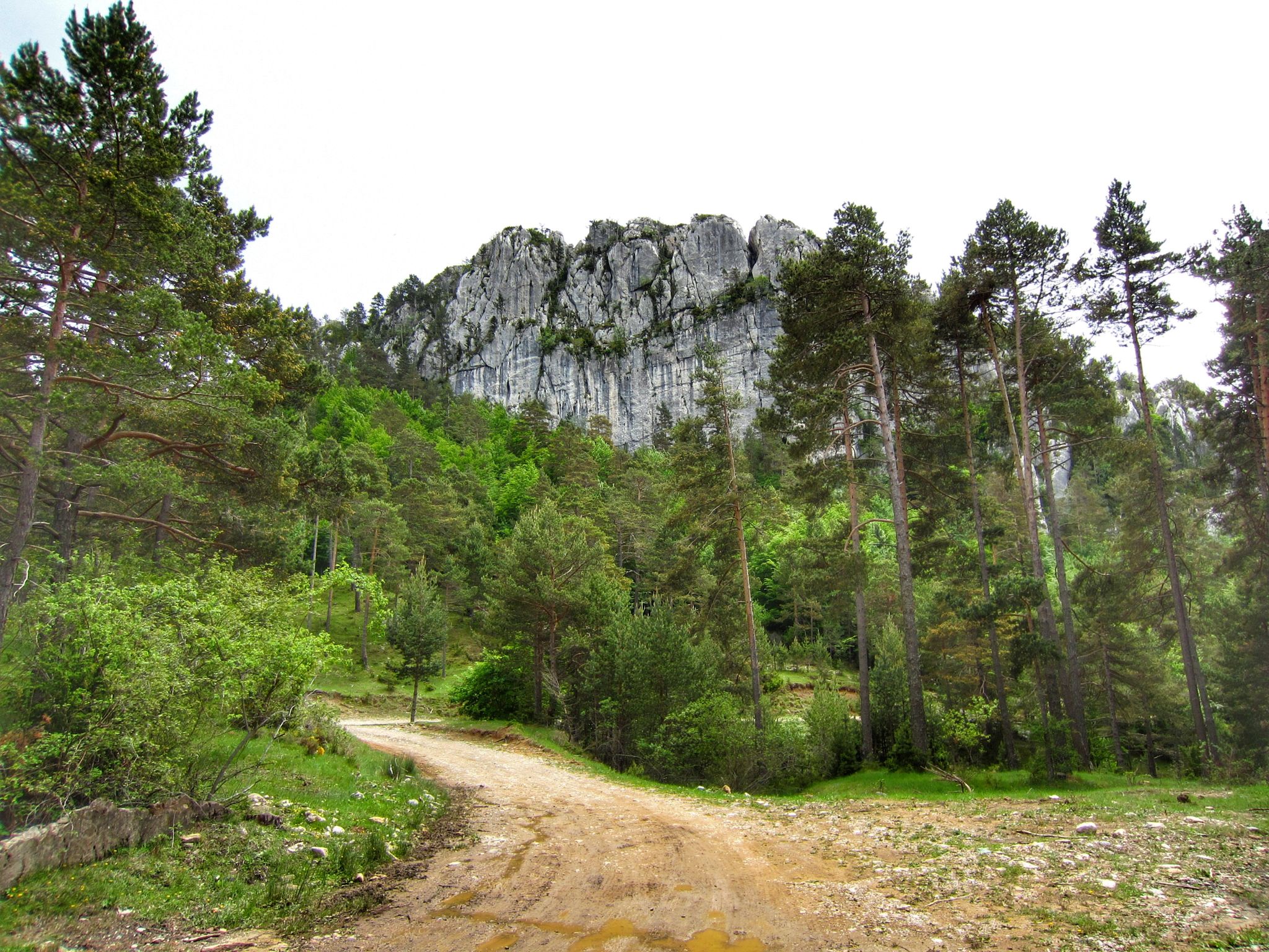 Roques d'Arderiu