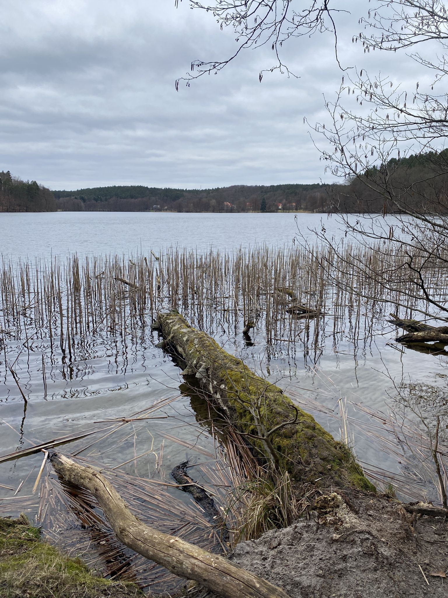 Kalksee