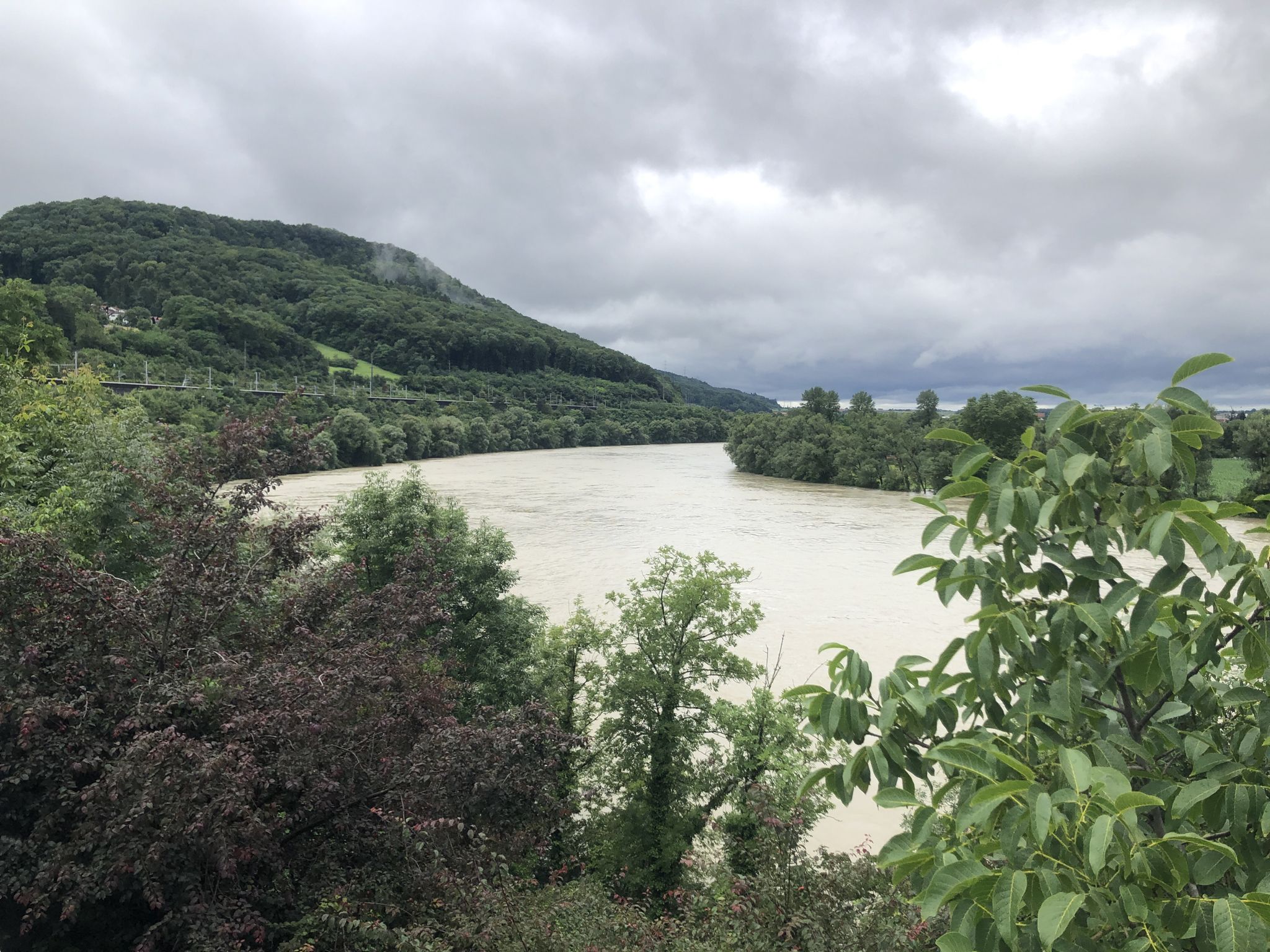 Rhein mit viel Wasser