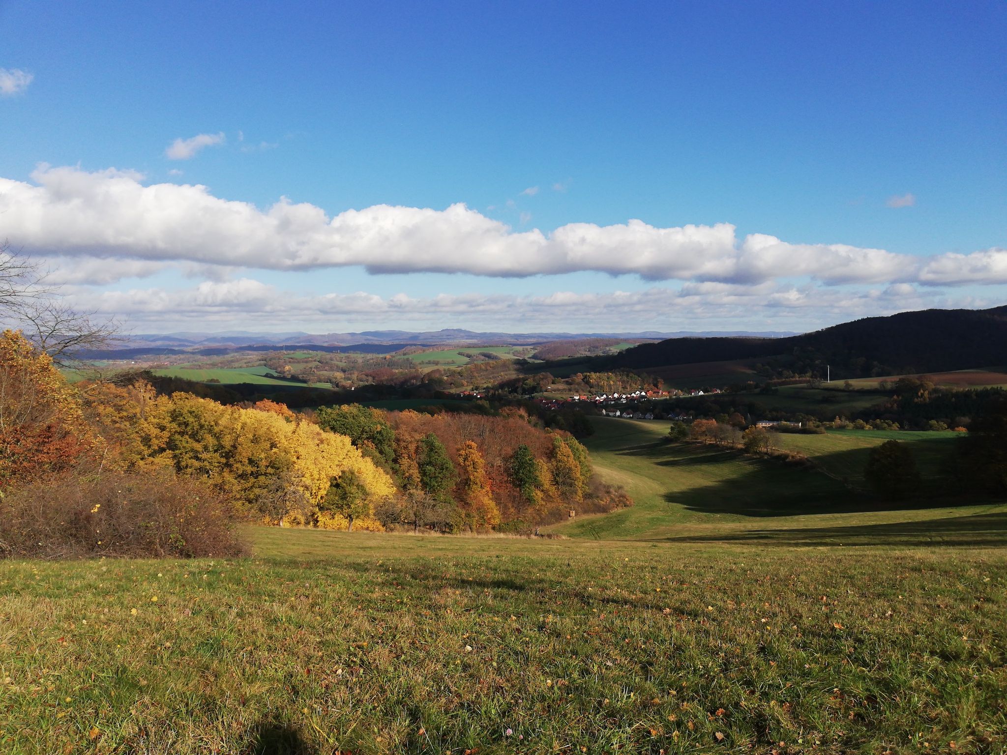 Panorama
