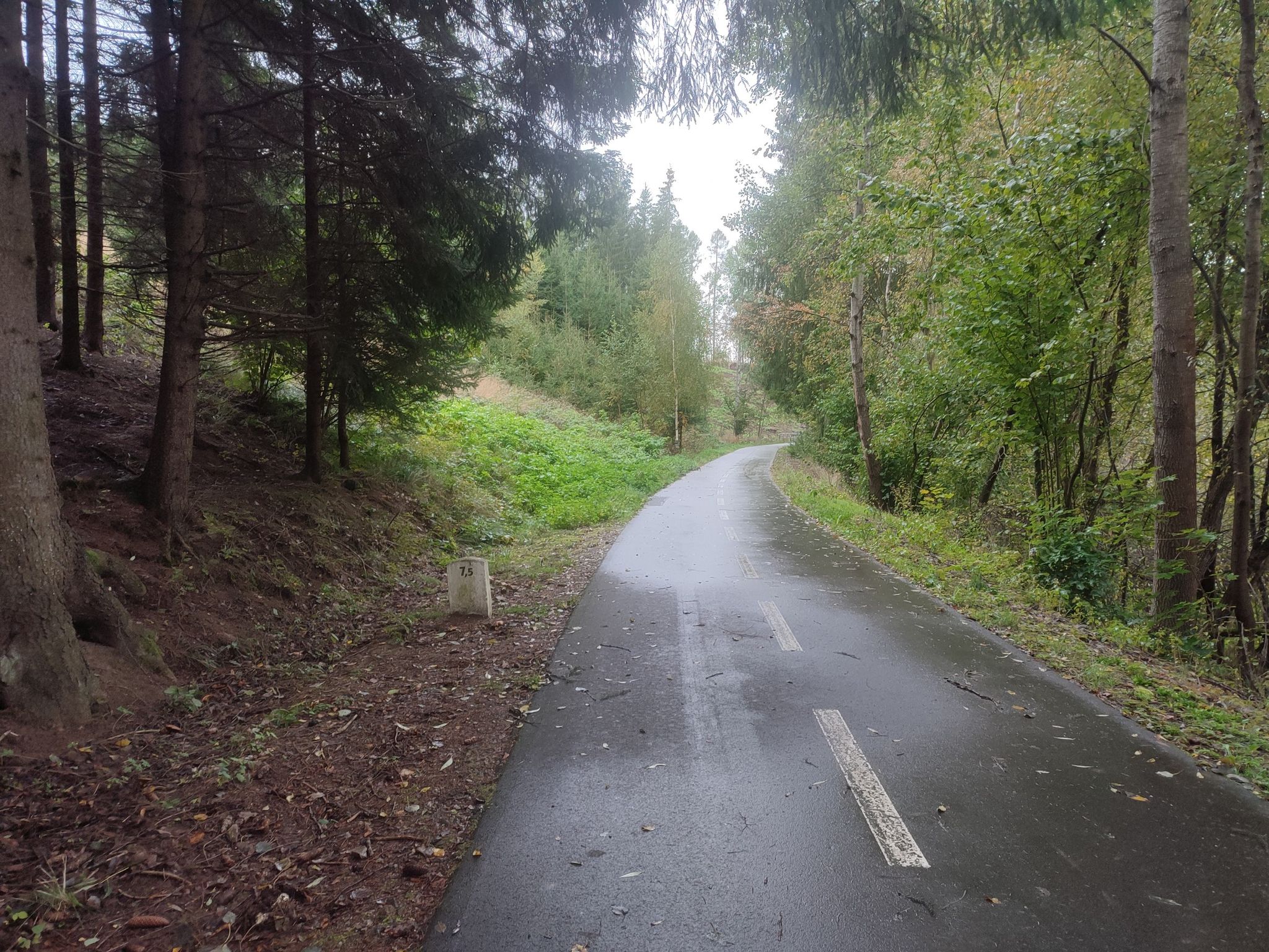 Bahntrassenradweg Sazava, Radweg 19