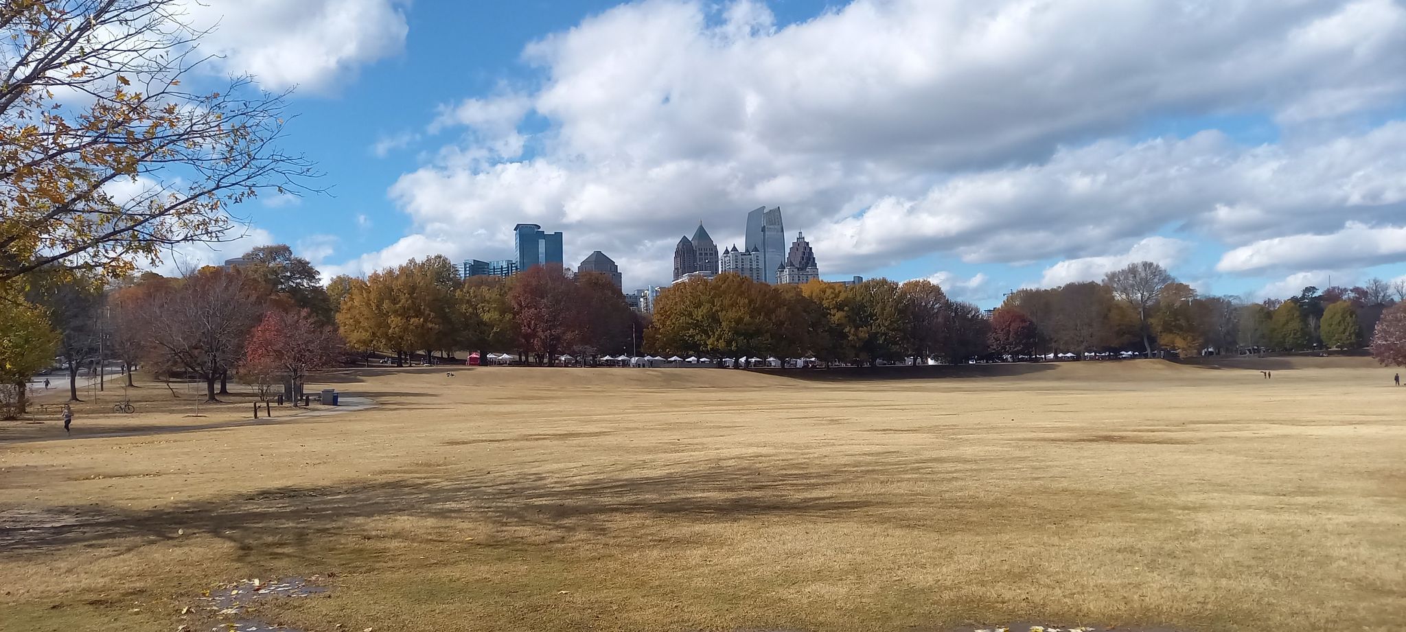 Wide view of a large field with autumn trees and distant city skyline. - Skyline View – Atlanta Beltline Trail loop from North Avenue