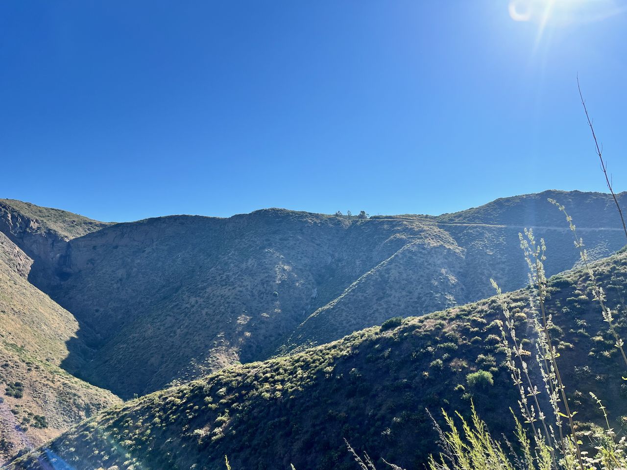 Sunny view of rolling, green-covered mountains and a deep valley. - Cedar Creek Falls via Eagle Peak Road
