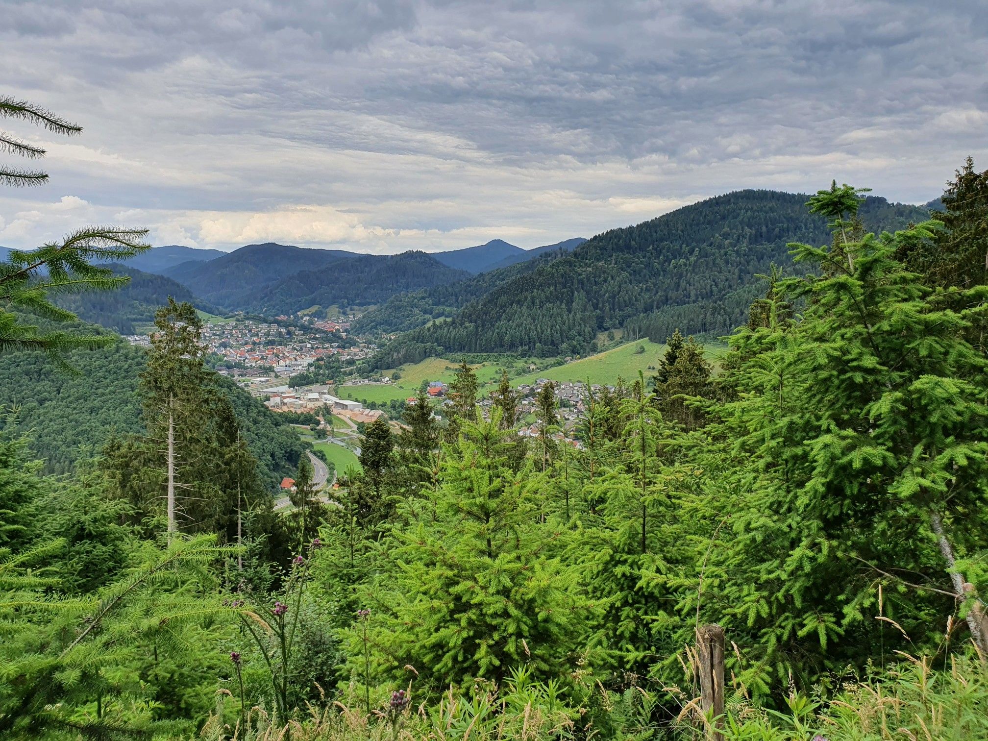 Kinzigschleife Wolfach-Kirnbach
