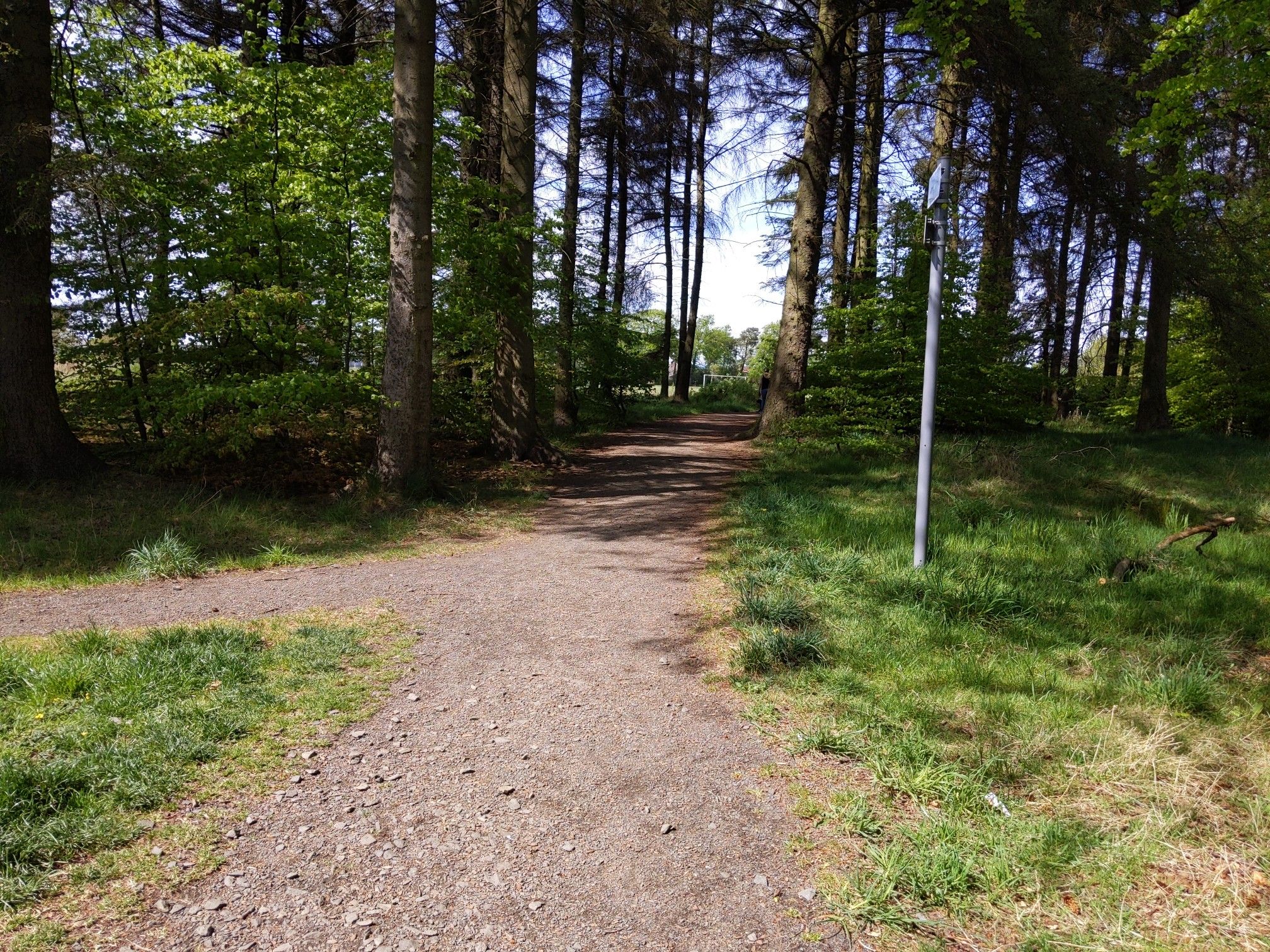 path ahead