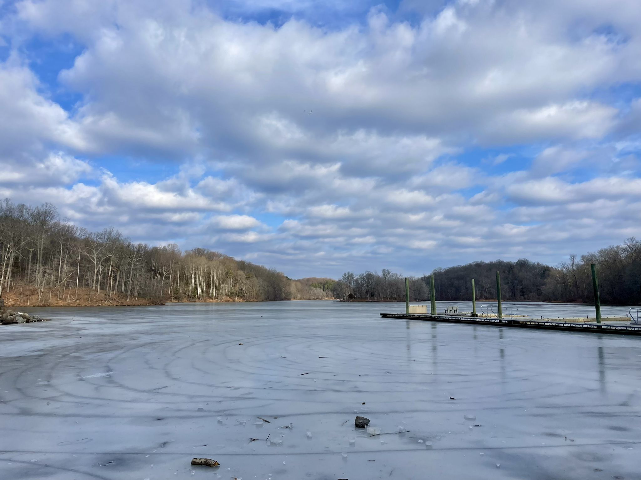 Icy lake with bare trees and a dock under a cloudy winter sky. - Needwood Trail