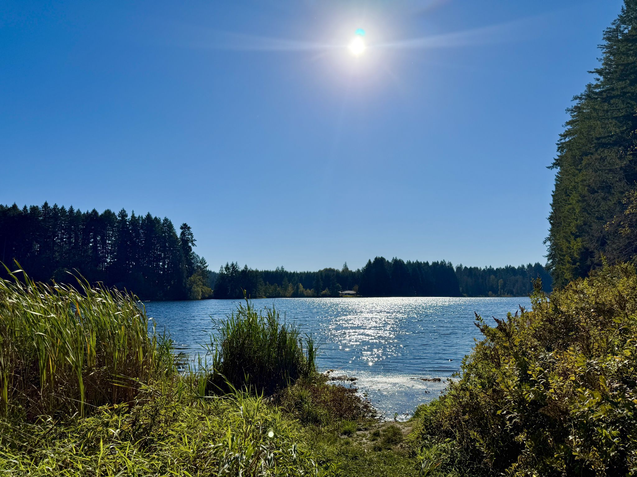 Bright sun shines over a calm lake surrounded by lush green forest. - Public Beach on Deep Lake – Millersylvania State Park loop from Millersylvania State Park