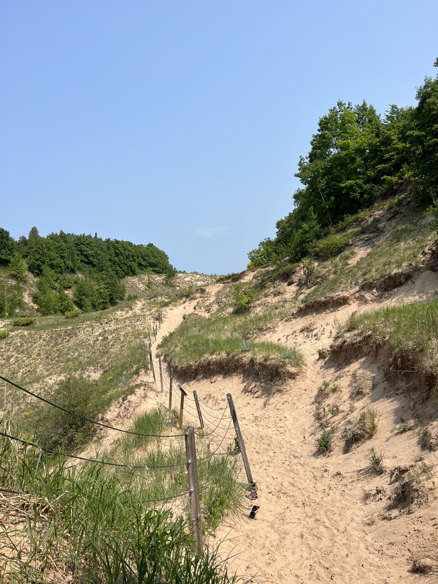 Sandy path winding up a large dune under a bright blue sky. - Baldy Trail Loop