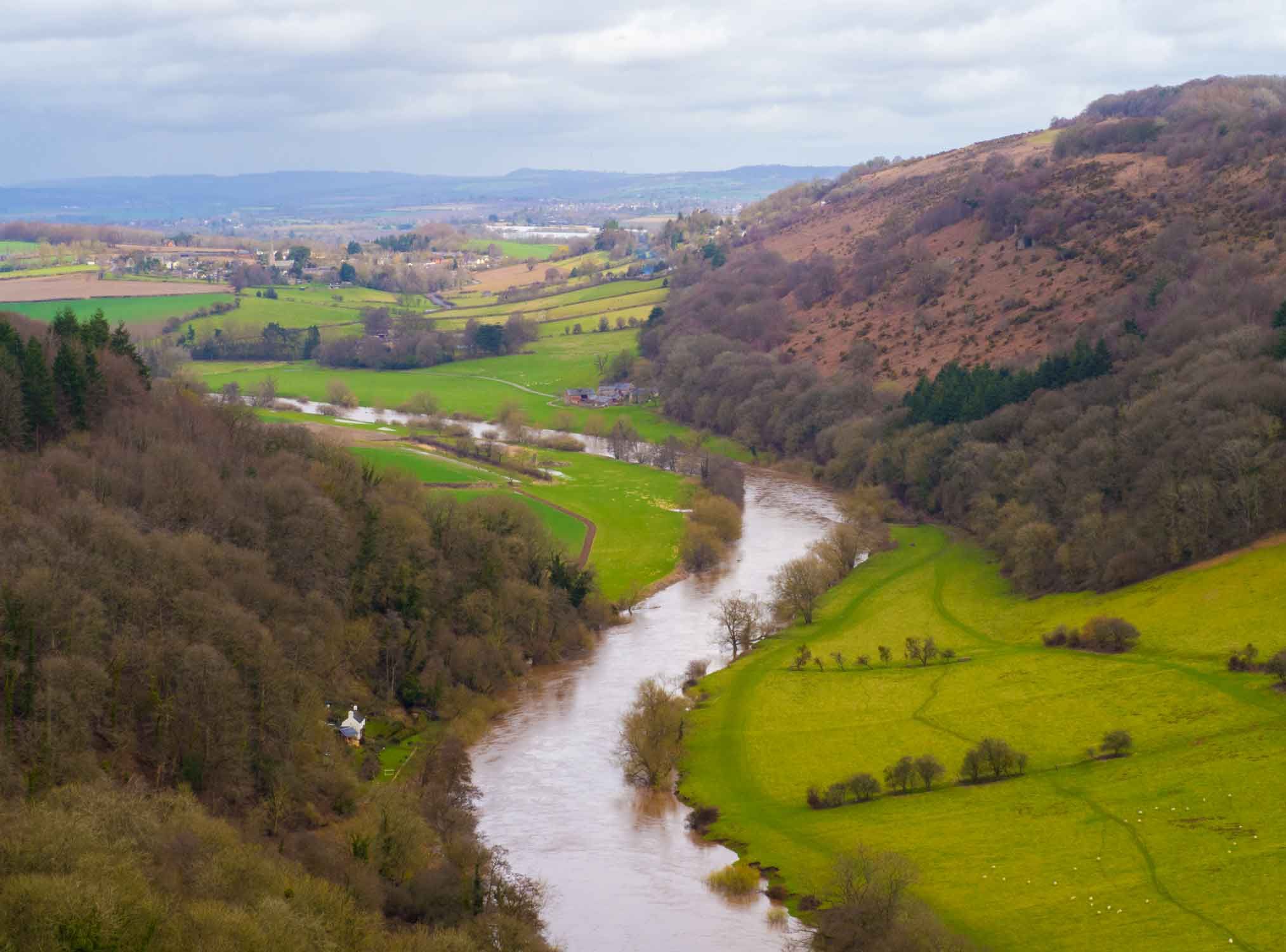 The view from Symonds Yat Rock