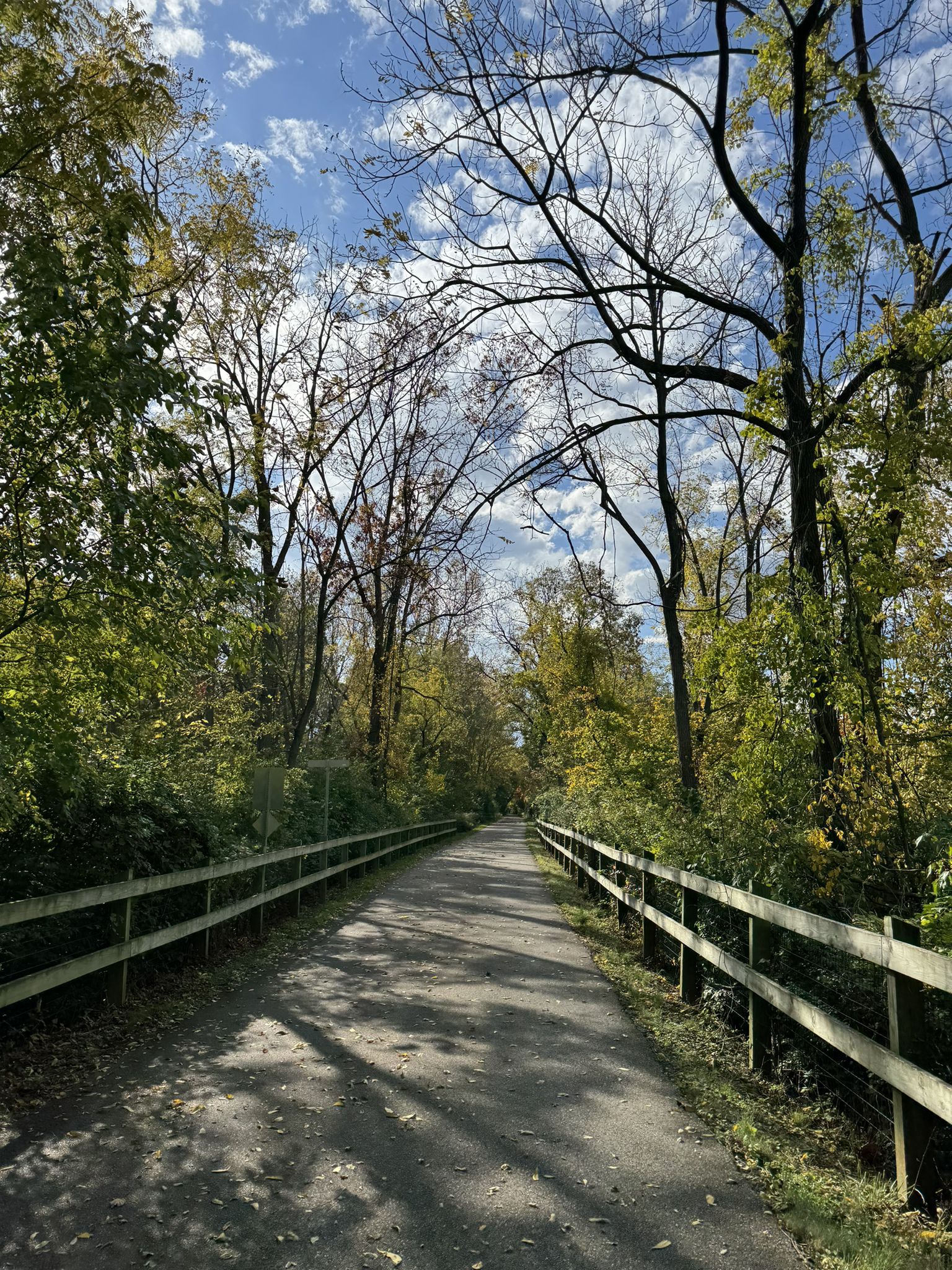 Paved path with wooden fences, surrounded by trees with autumn foliage. - Chester Valley Trail – Cedar Hollow Road Park loop from Tredyffrin Township