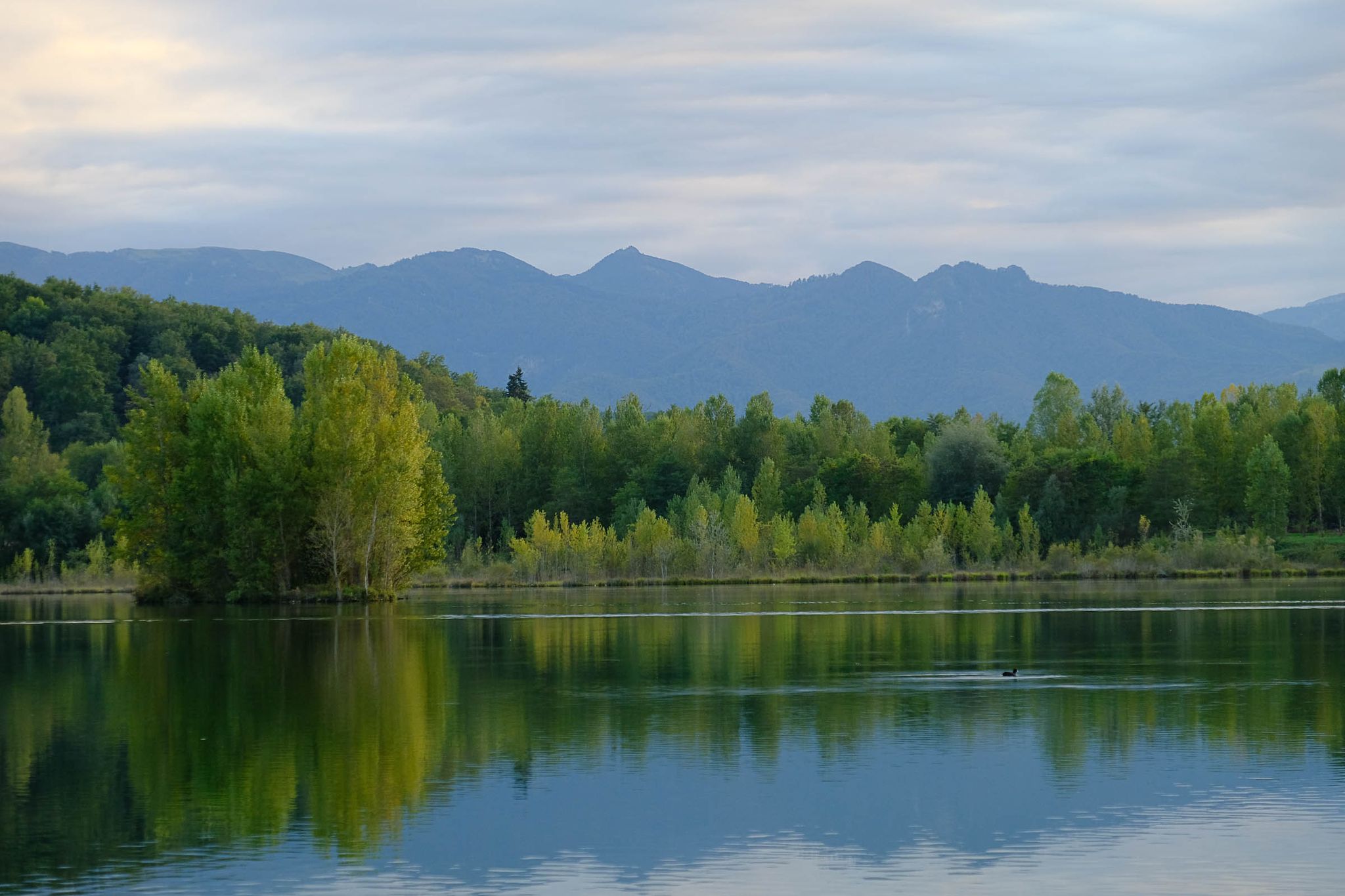 Les Pyrénées en arrière plan