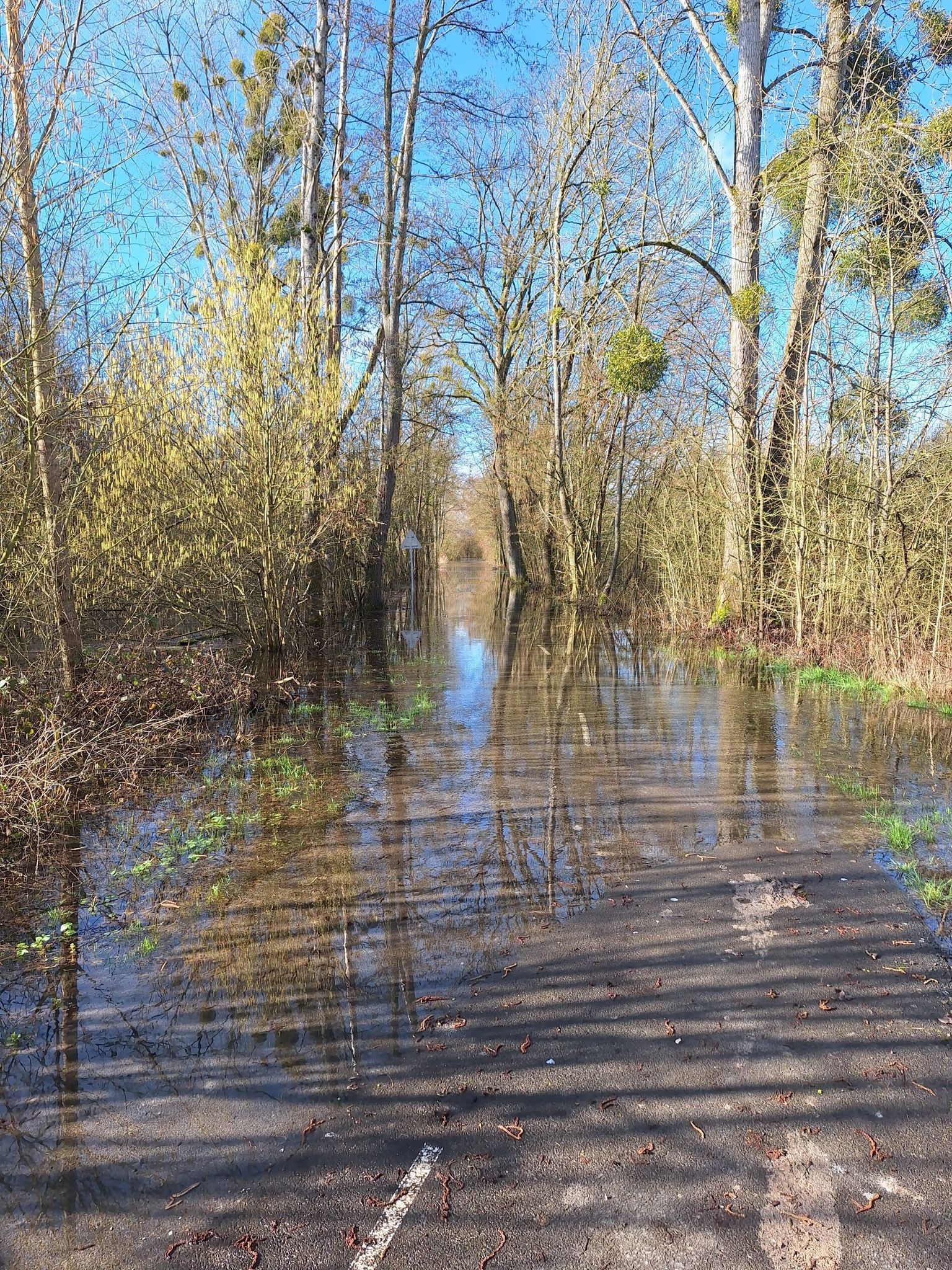en toen was het fietspad een sloot geworden.