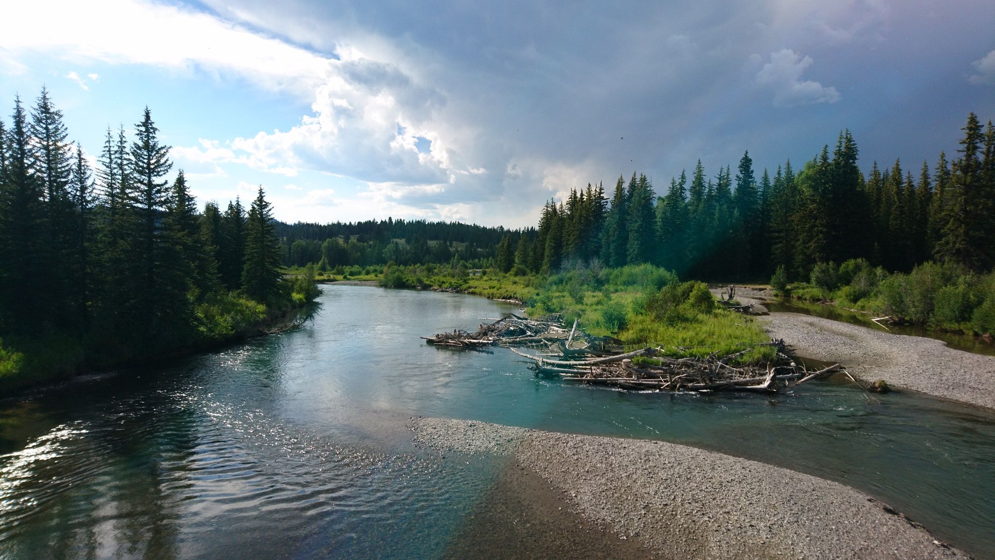River flowing through a forest under a partly cloudy sky. - Snake Lake Loop Trail