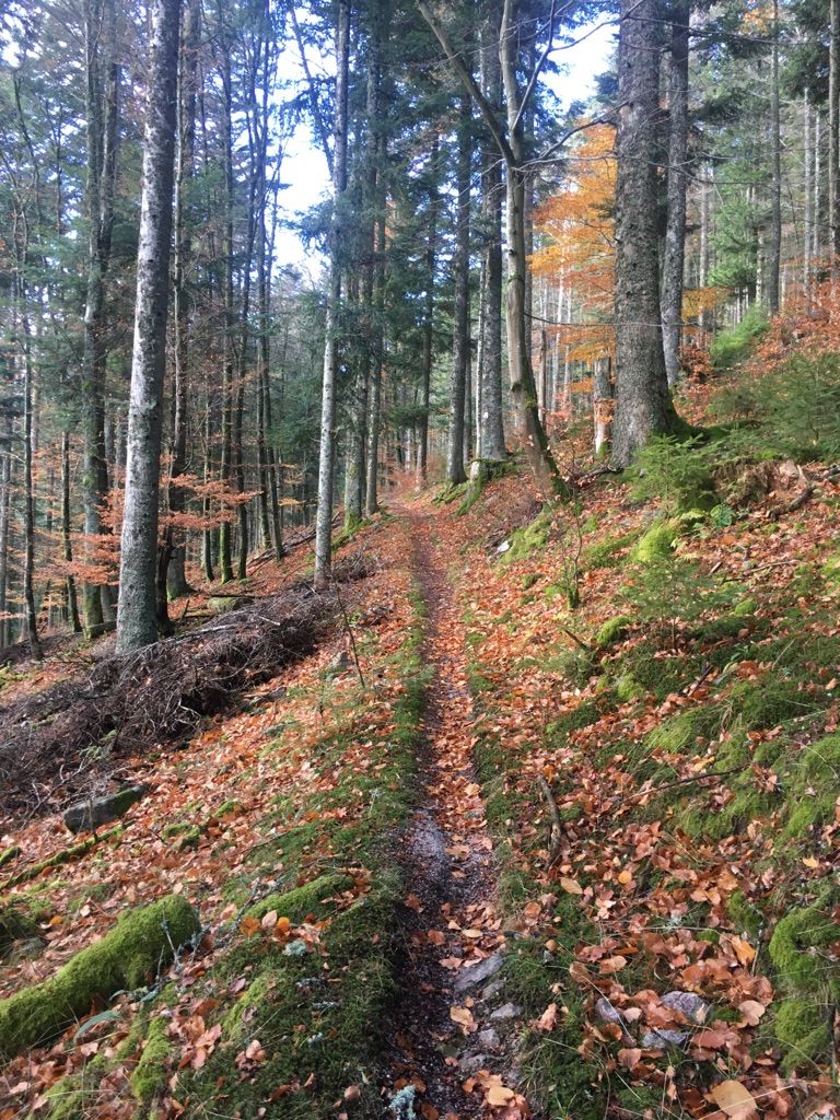 Impressionen vom Maultierpfad