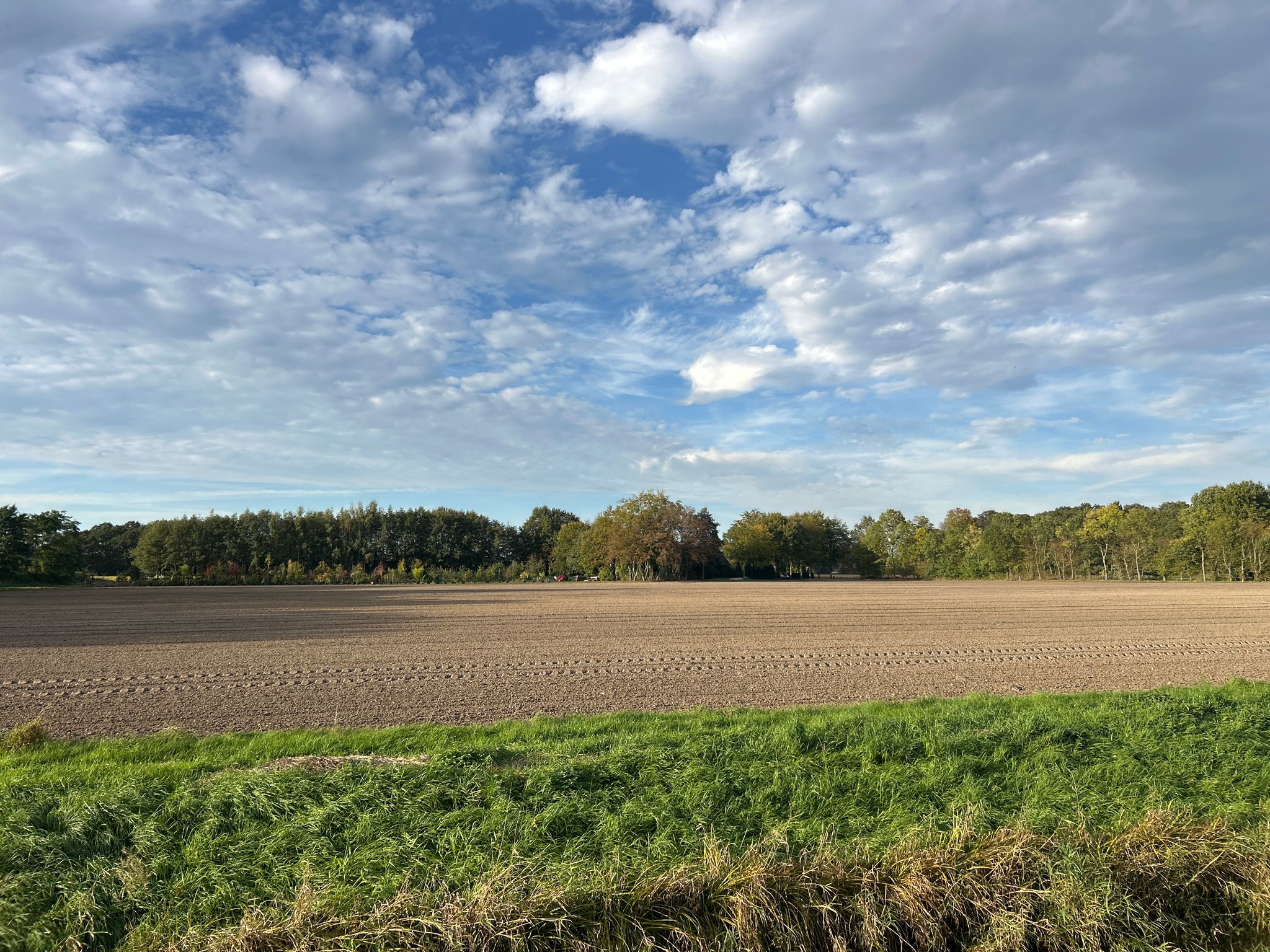 An der Hengelbirke vor Schwege