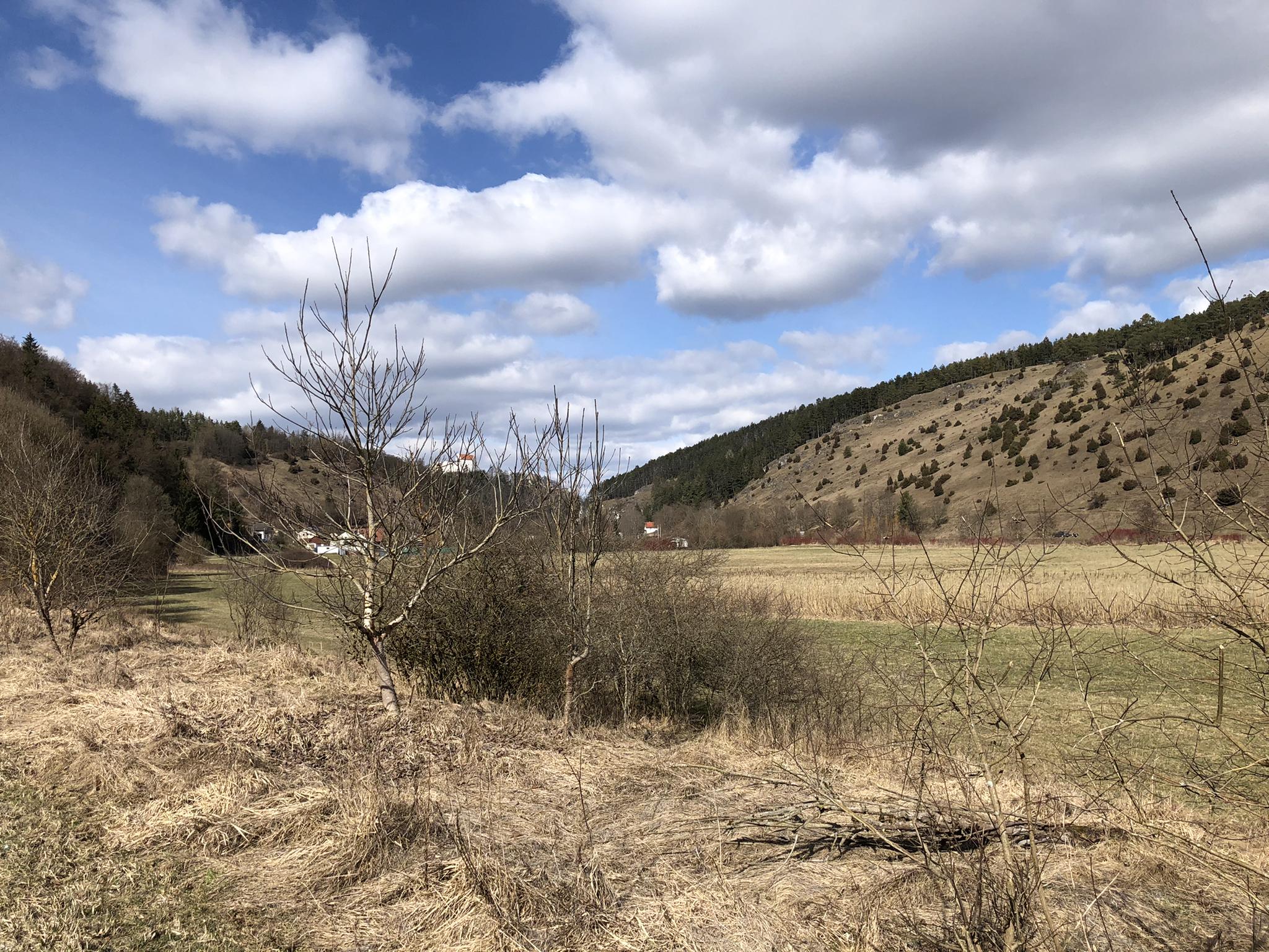 O que fazer em Schmidts Kiefern