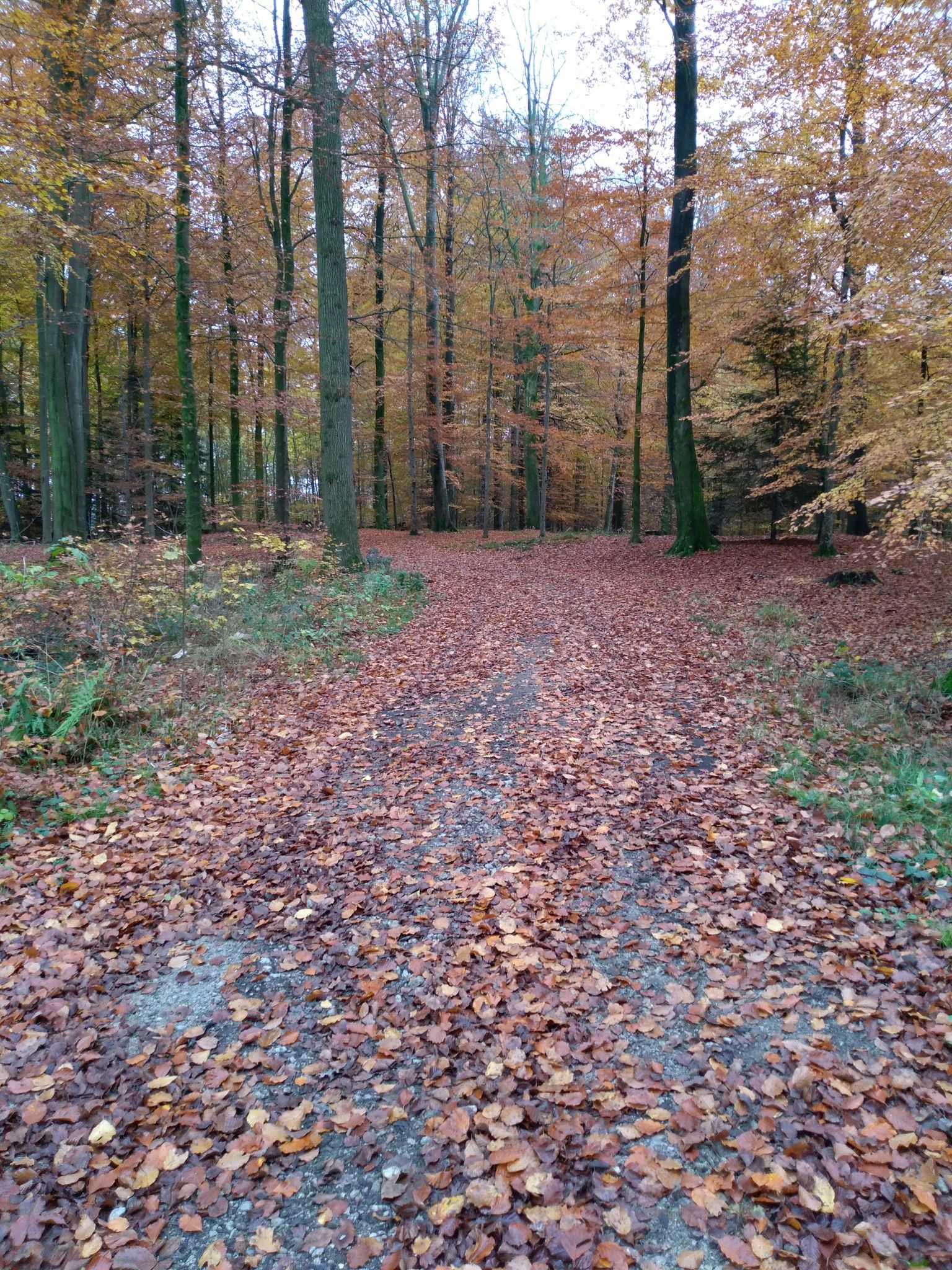 Vandløb