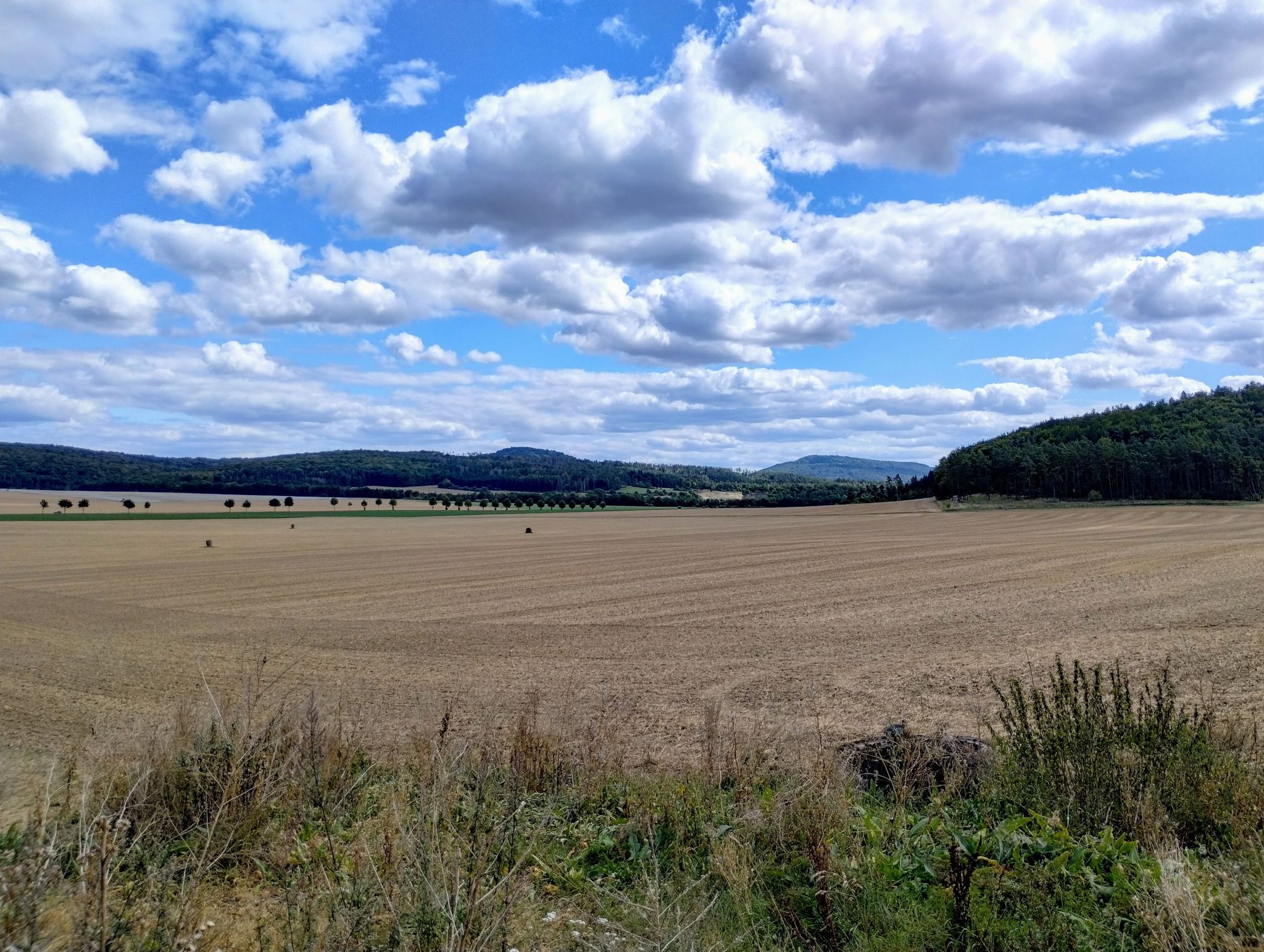 Blick zu den Gleichbergen