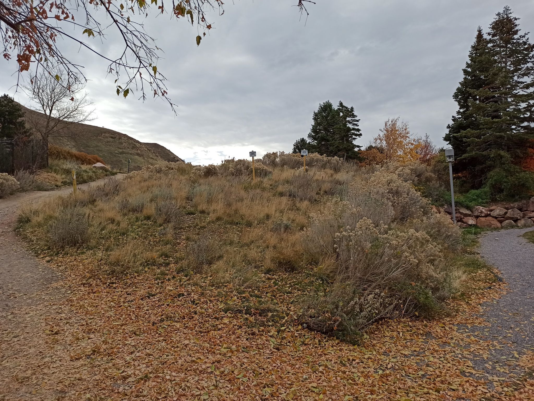 A dirt path forks through dry, hilly landscape under an overcast sky. - Utah's Hogle Zoo – This Is the Place Monument loop from University of Utah