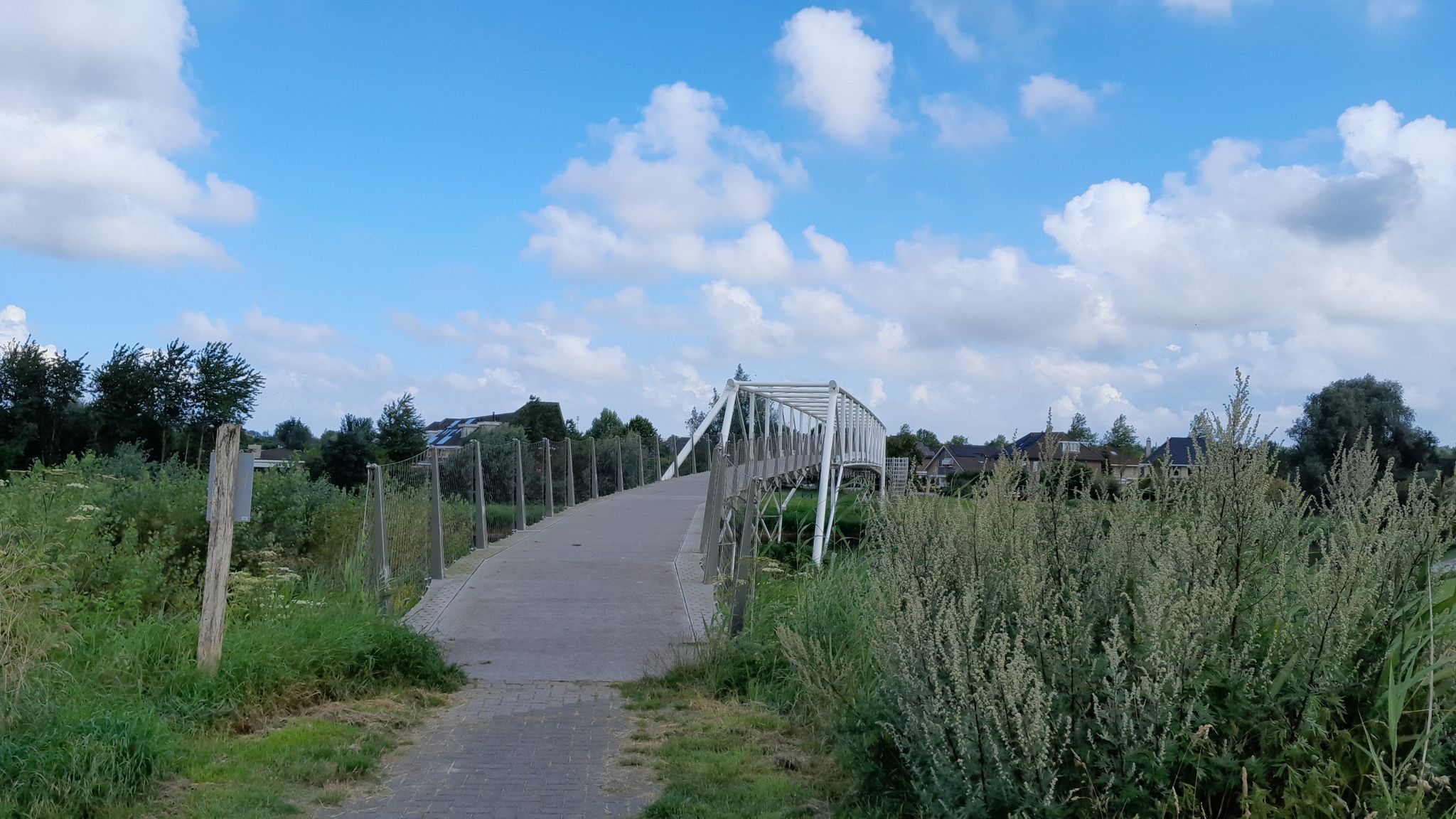 Fietsbrug over de Lage Vaart