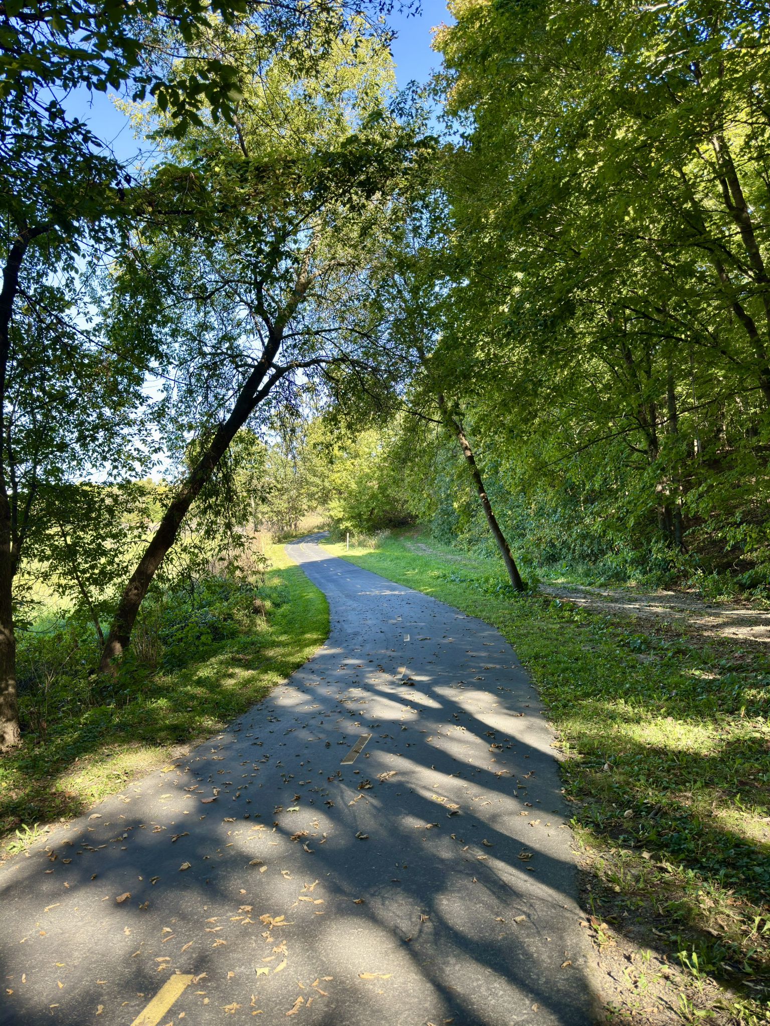 Paved path winding through sunlit green trees, dappled with shadows. - Running loop from Rockford