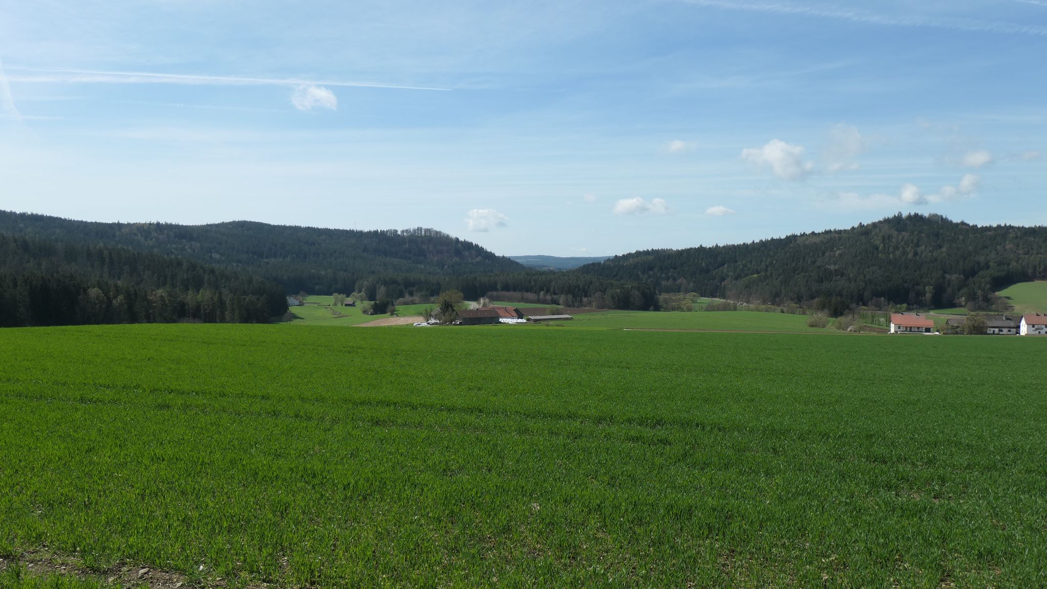 Blick nach Tradhof