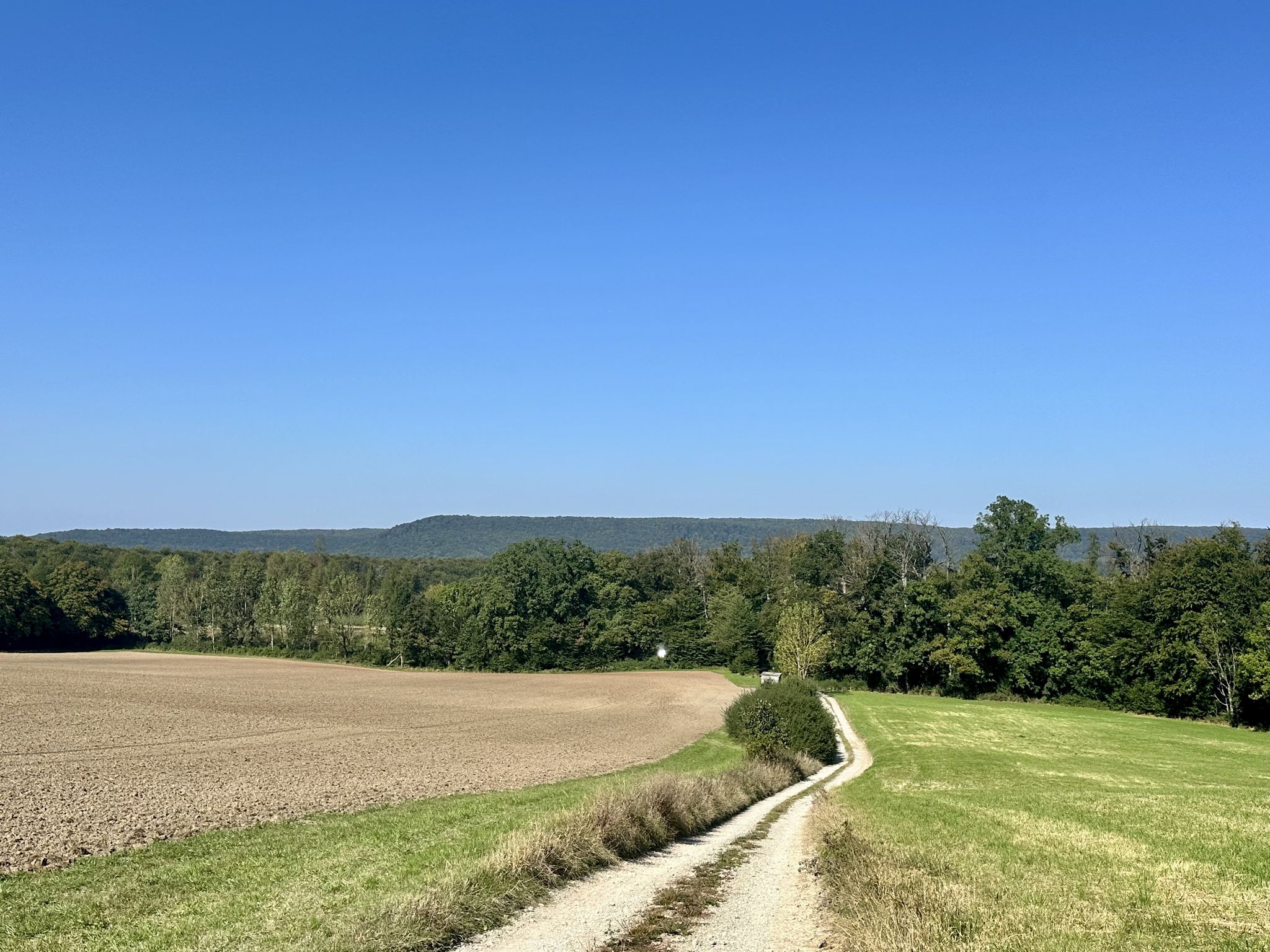 21.09.24: Göttingen Wald am Horizont