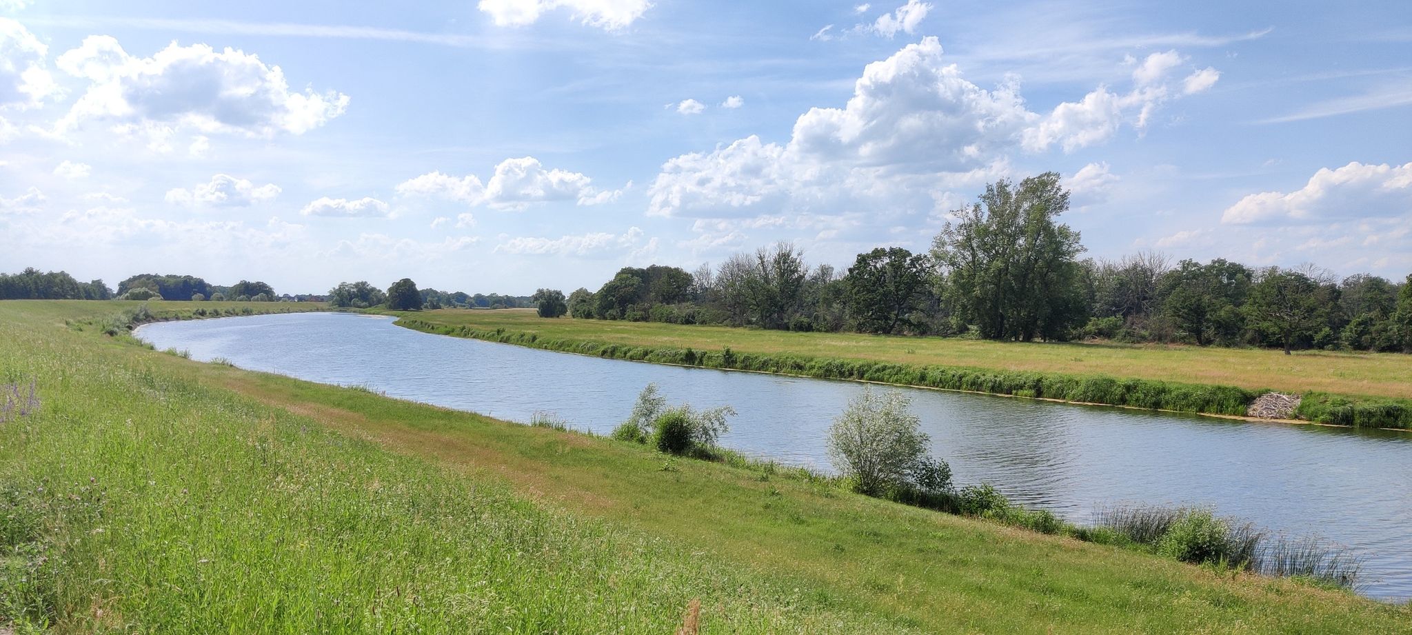 alter Elbarm bei Dabrun
