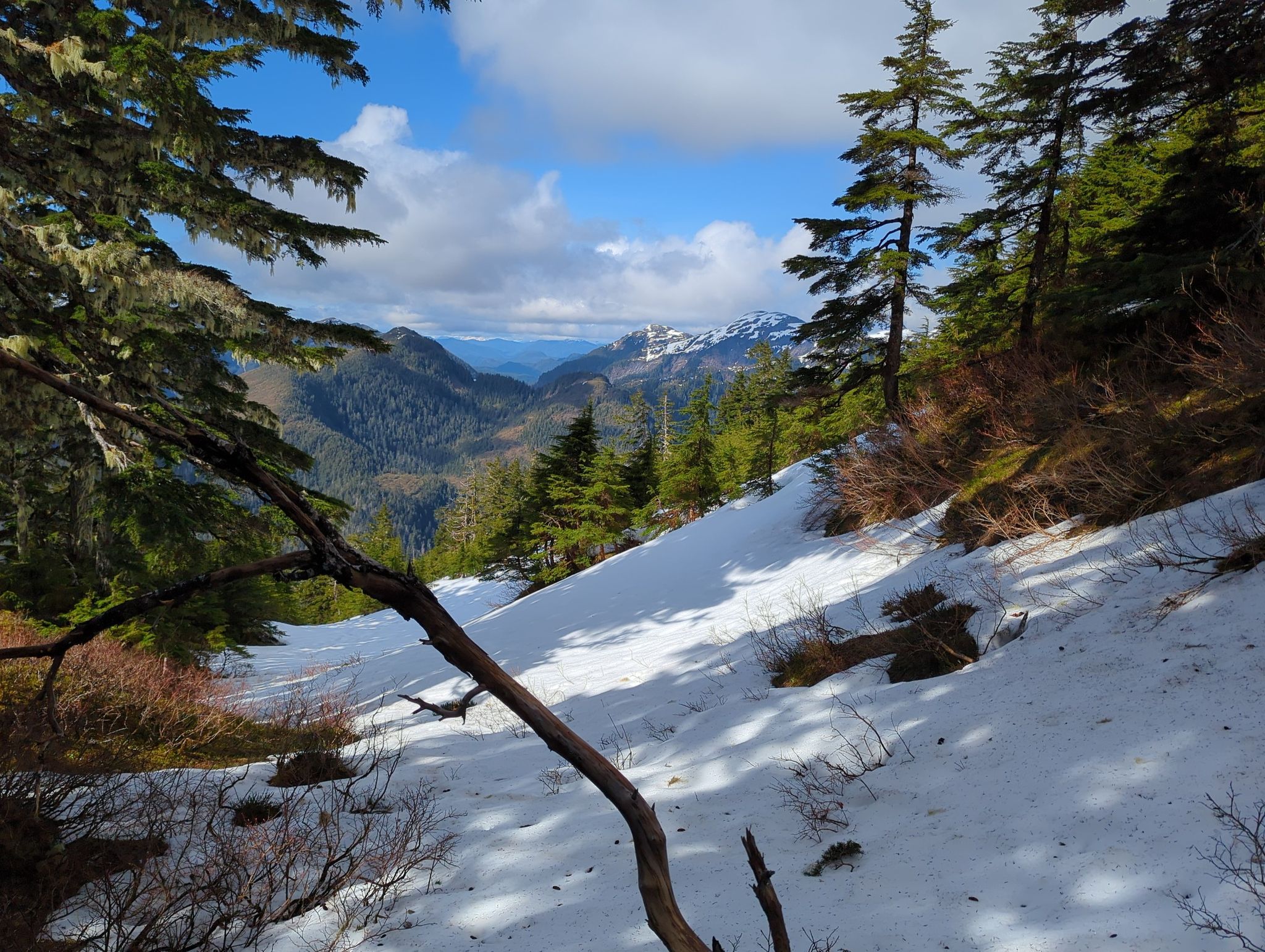 Snowy mountain slope with pine trees, overlooking a valley under cloudy sky. - Deer Mountain National Recreation Trail