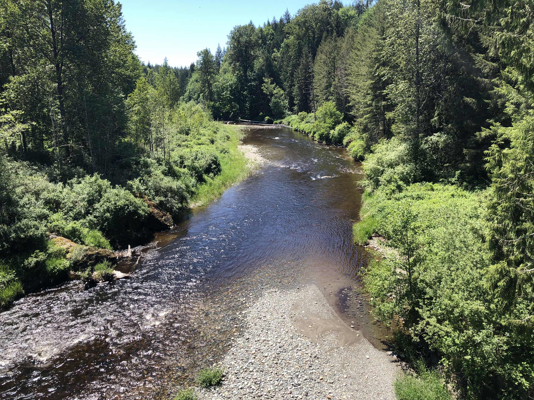 Clear river flowing through a green forest under bright sunlight. - Snohomish County Centennial Trail