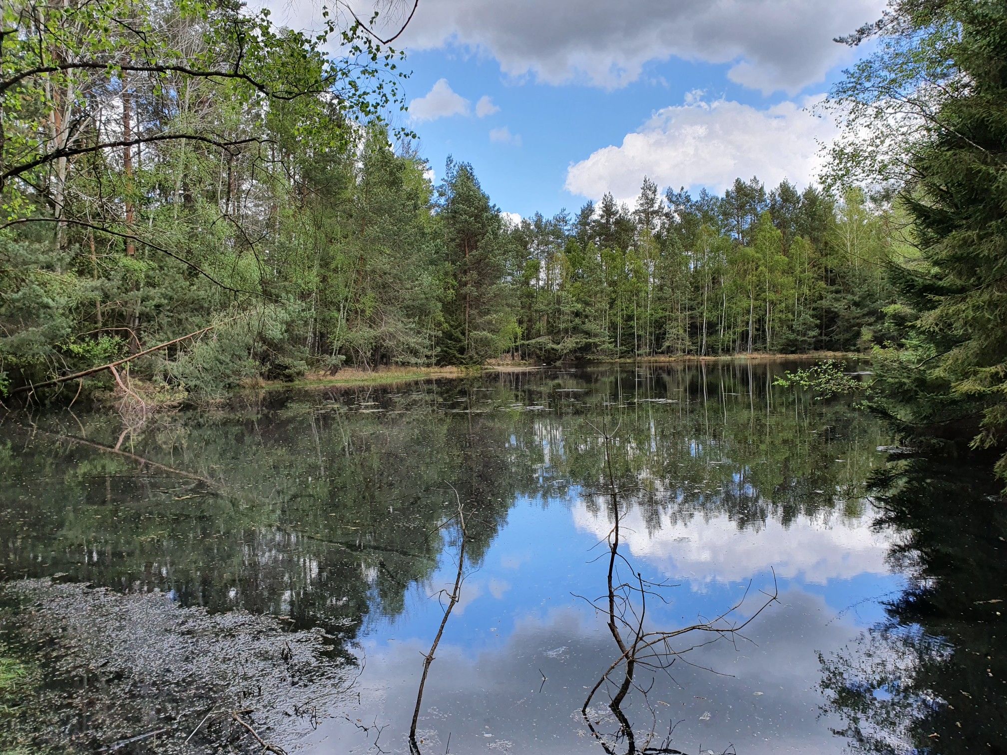 Moorteich