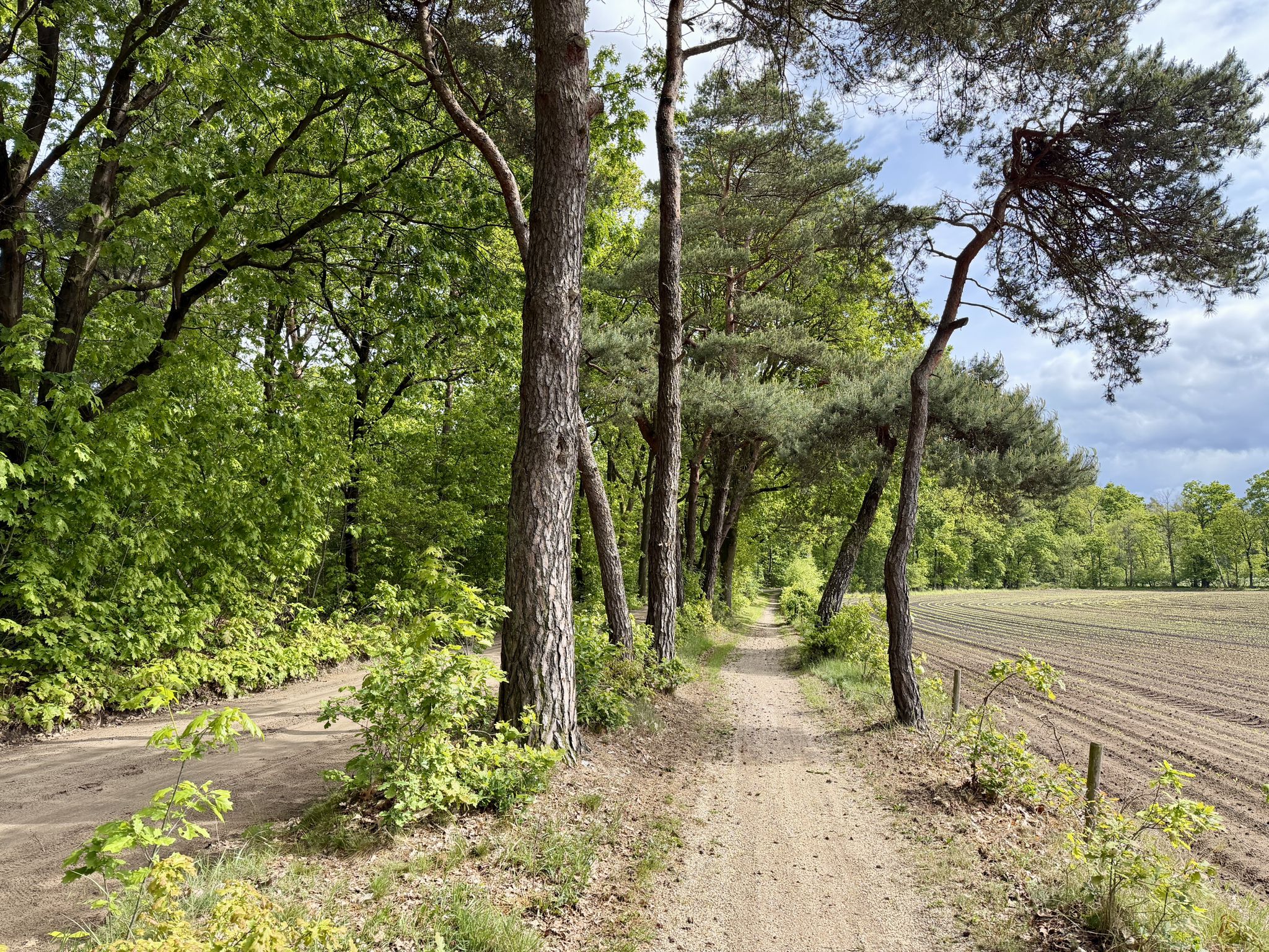 Oude Ruurloseweg
