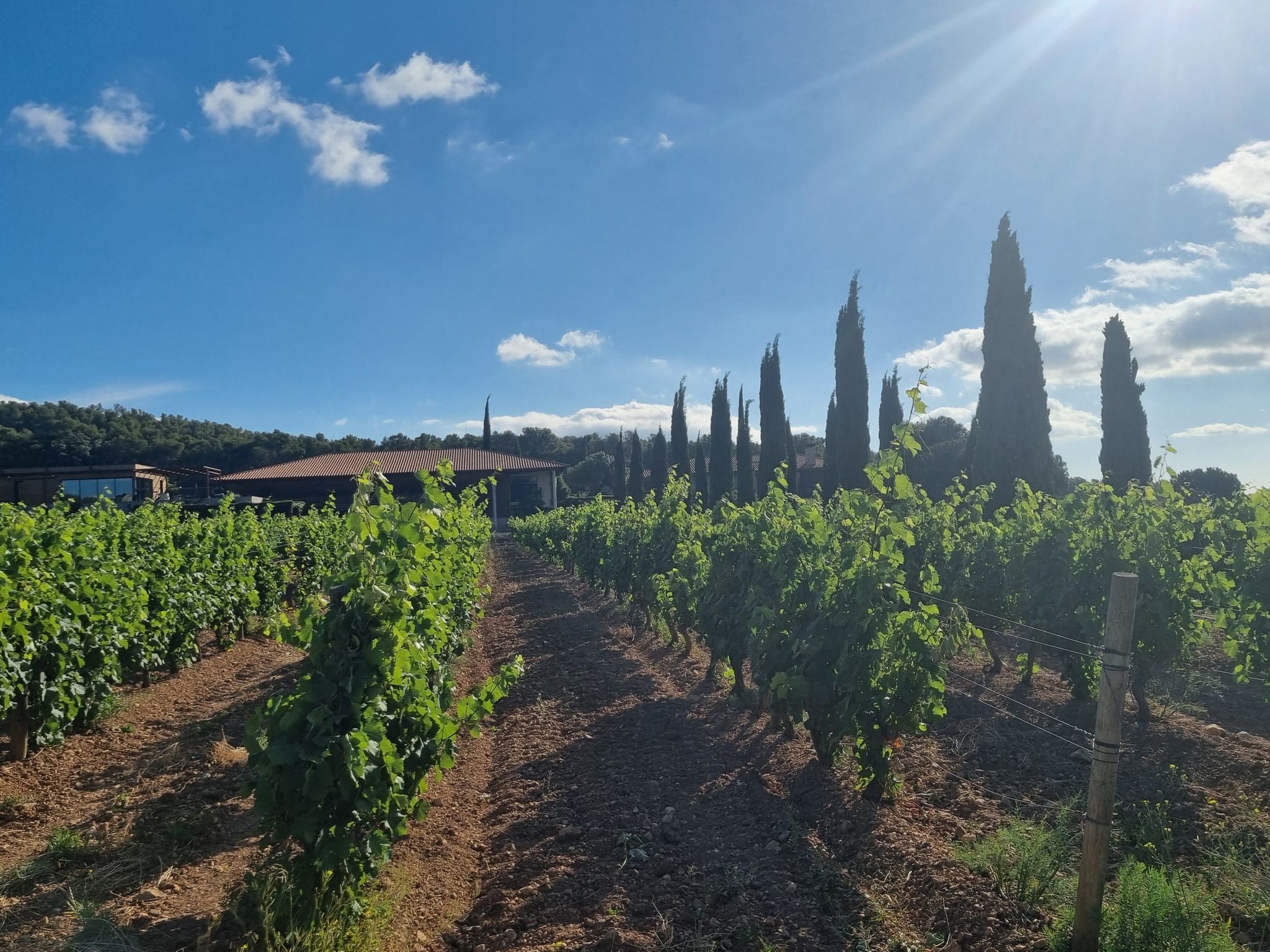domaine gardies
