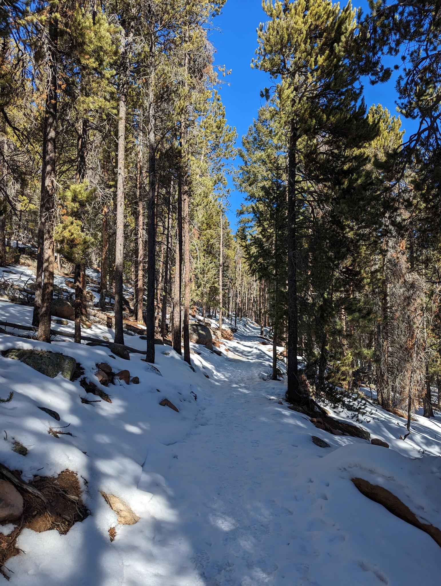 Activités dans Flying J Ranch Park
