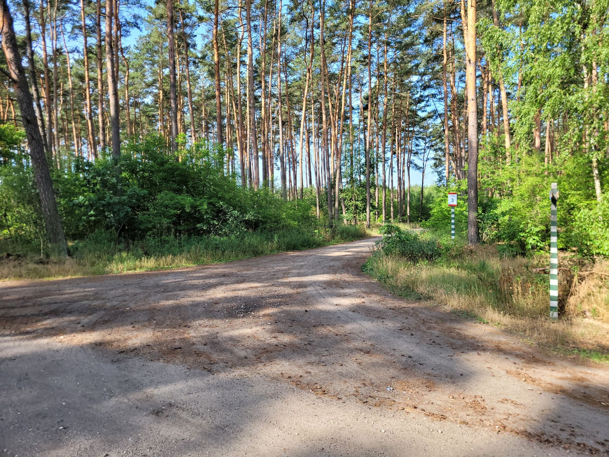 skrzyzowanie