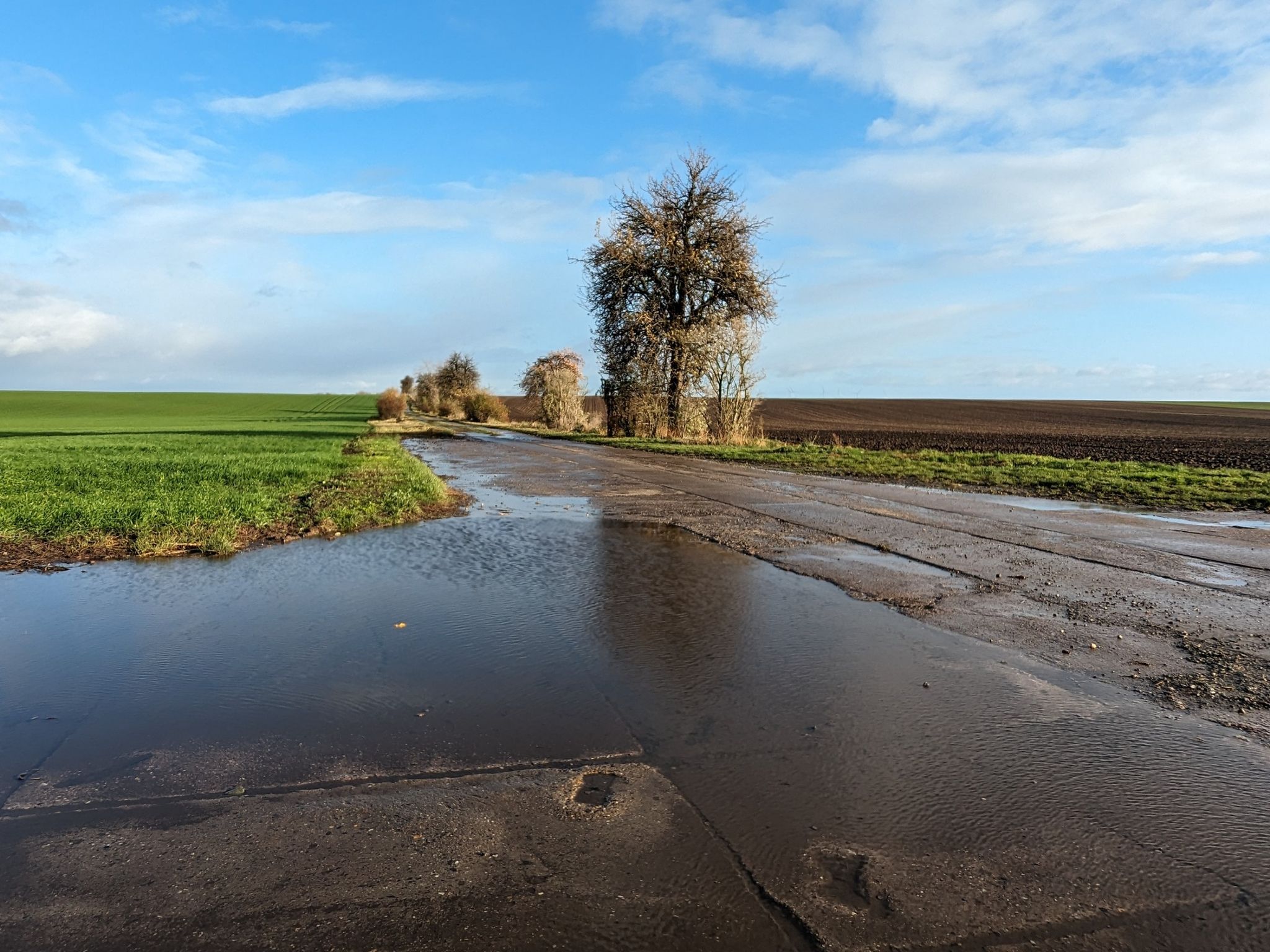 Nochmal zur Verdeutlichung: Nass und etwas Wind.