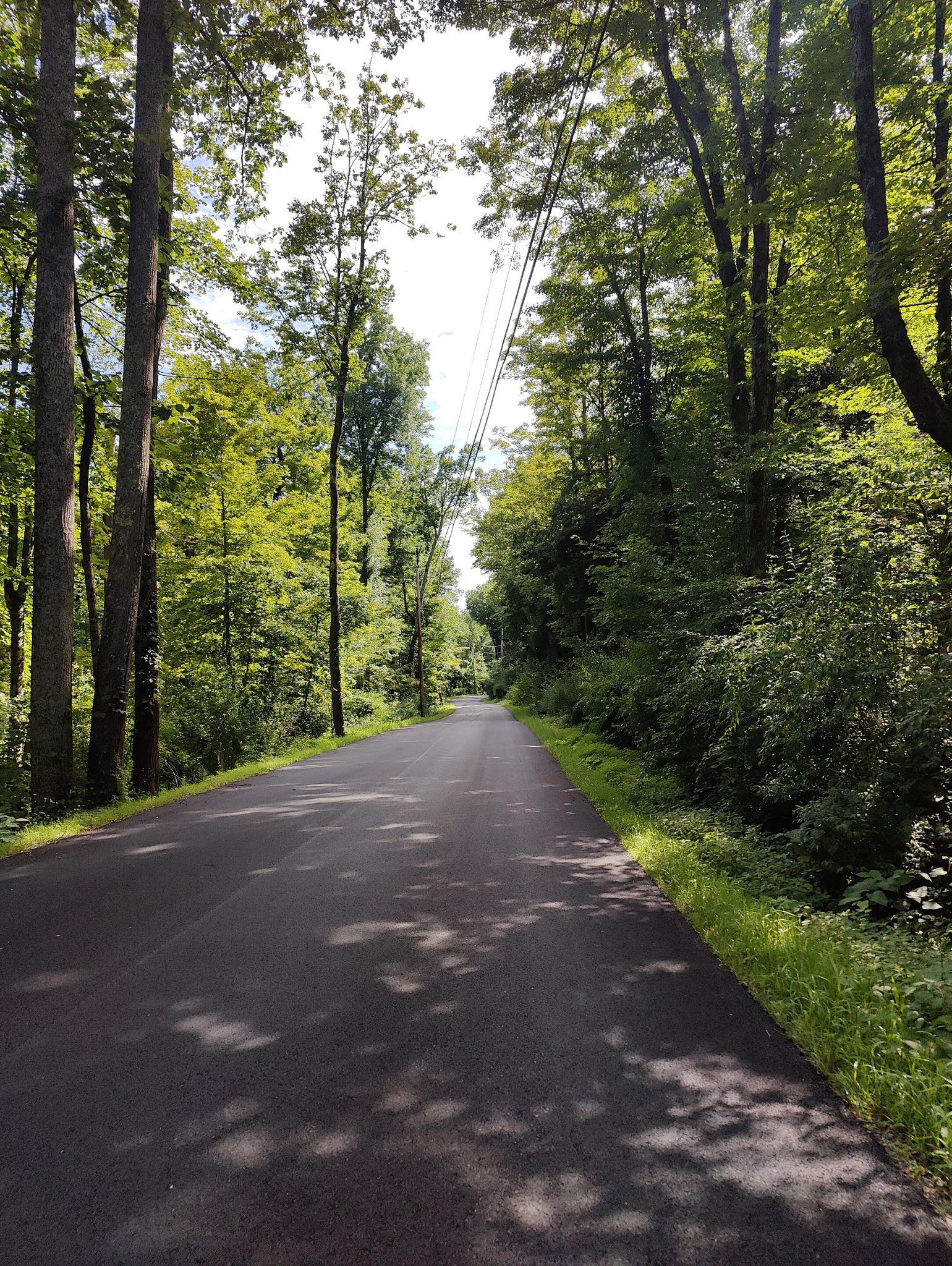 Paved road through a dense forest with dappled sunlight and power lines. - Ashokan Reservoir – Boiceville Trailhead loop from Mount Guardian Preserve