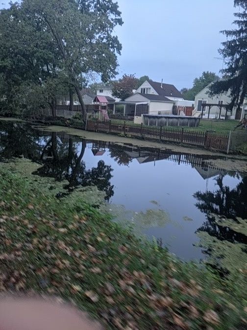Overcast view of a narrow, algae-covered waterway reflecting houses and trees. - Canal Fulton Historic Disctrict – St Helena Heritage Park loop from Firestone Stadium