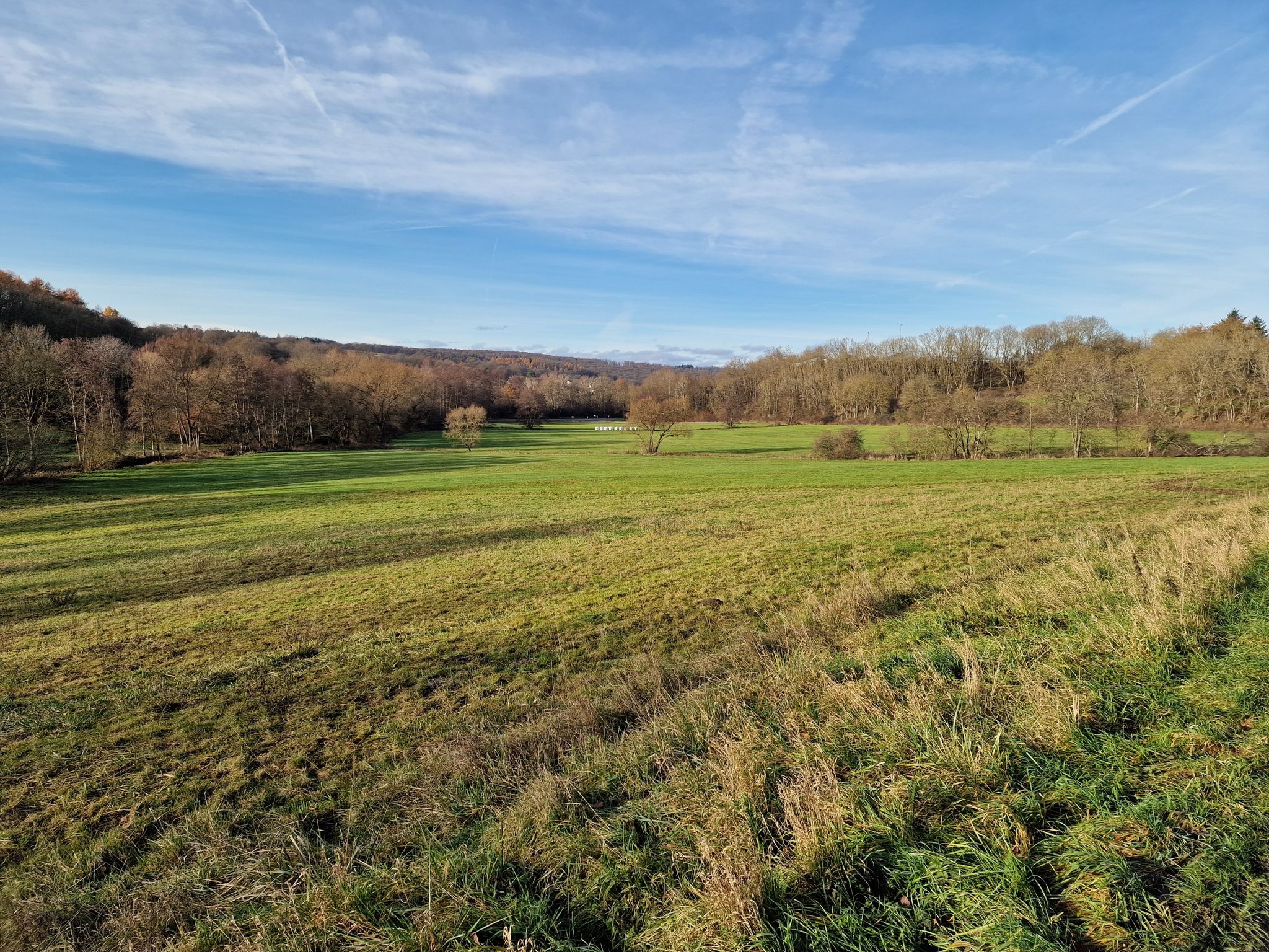 Auen am Solmsbach