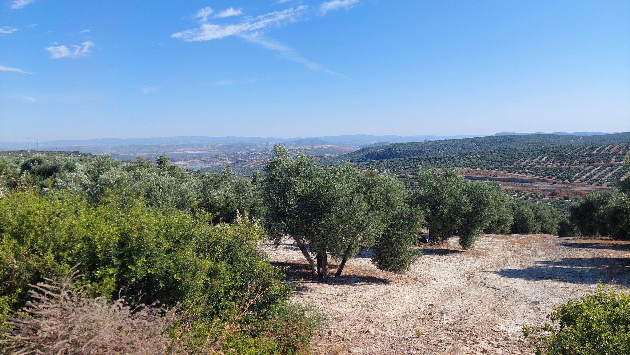Vistas al pantano del Giribaile